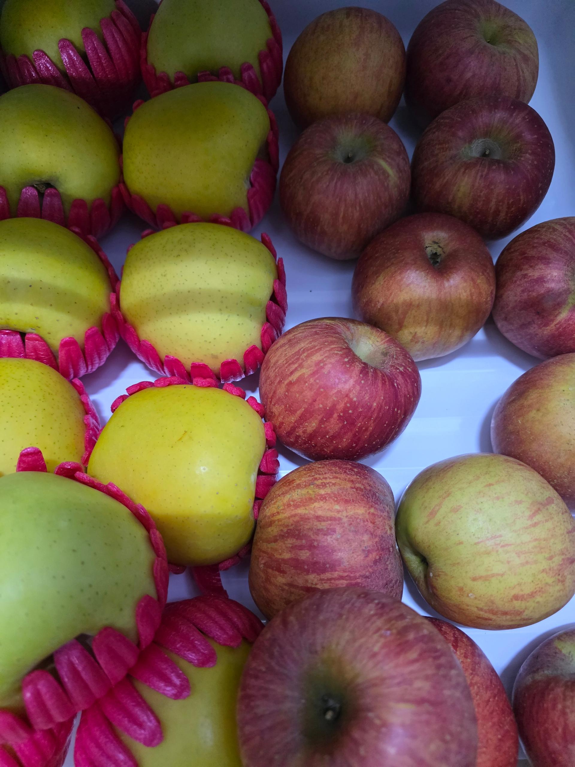 포토후기 이미지