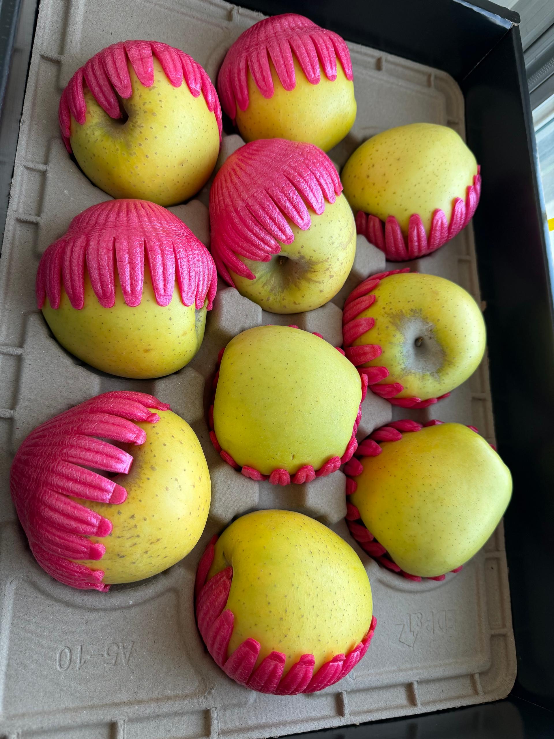 포토후기 이미지