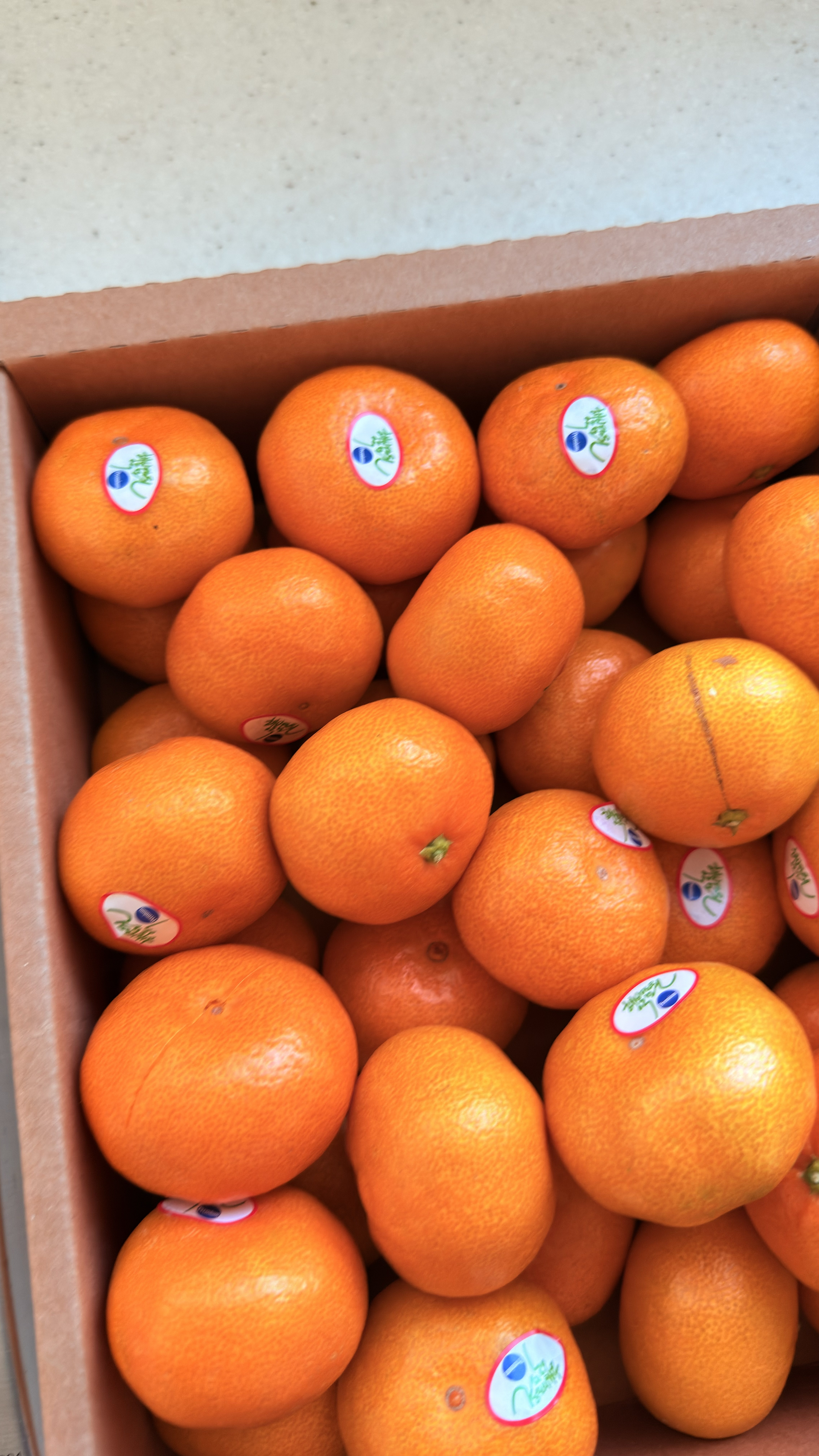 효돈 농협 프리미엄 감귤 (3kg/5kg)-1