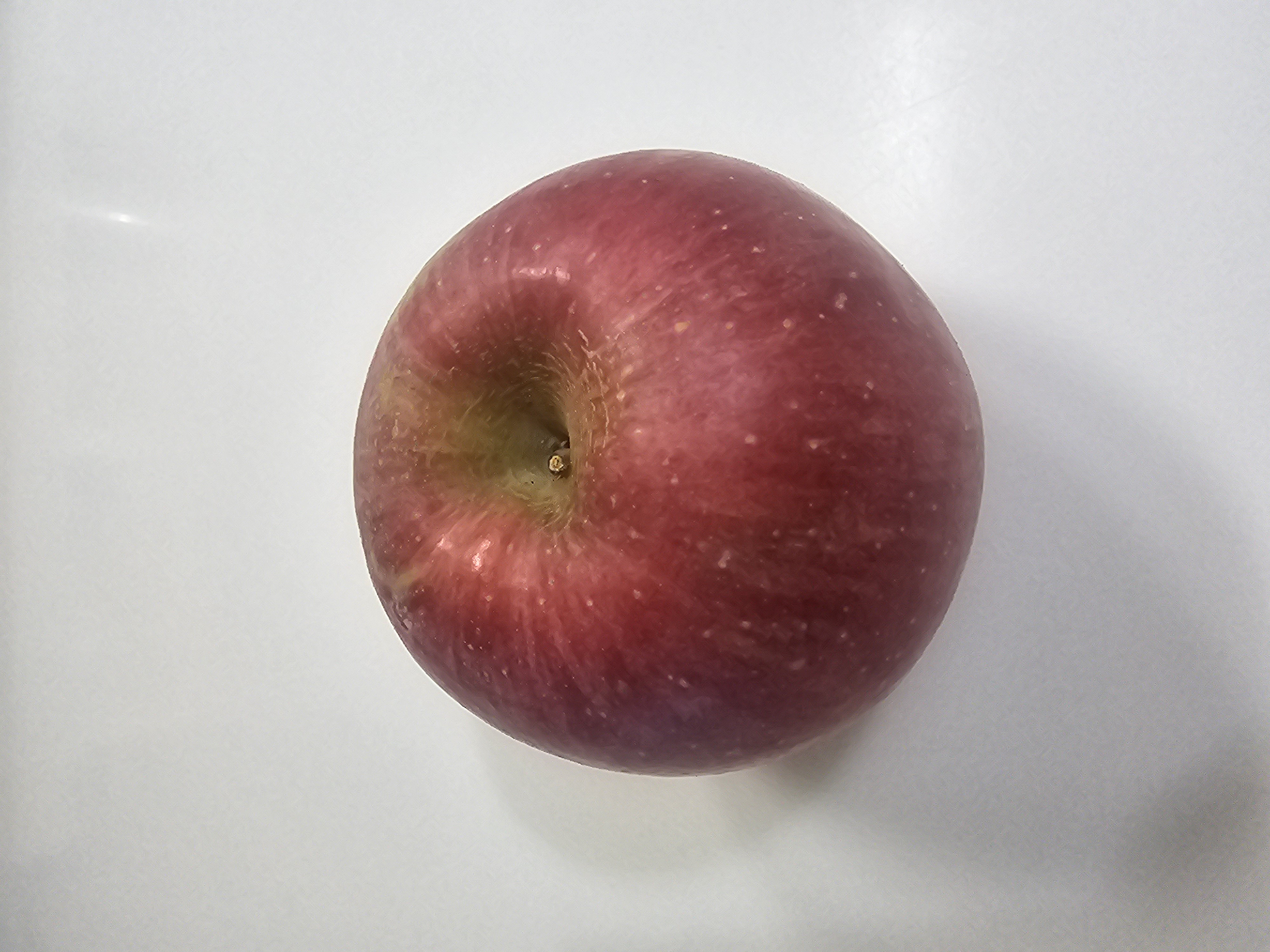 풍기농협 영주사과 3.5kg + 1kg 추가증정-1