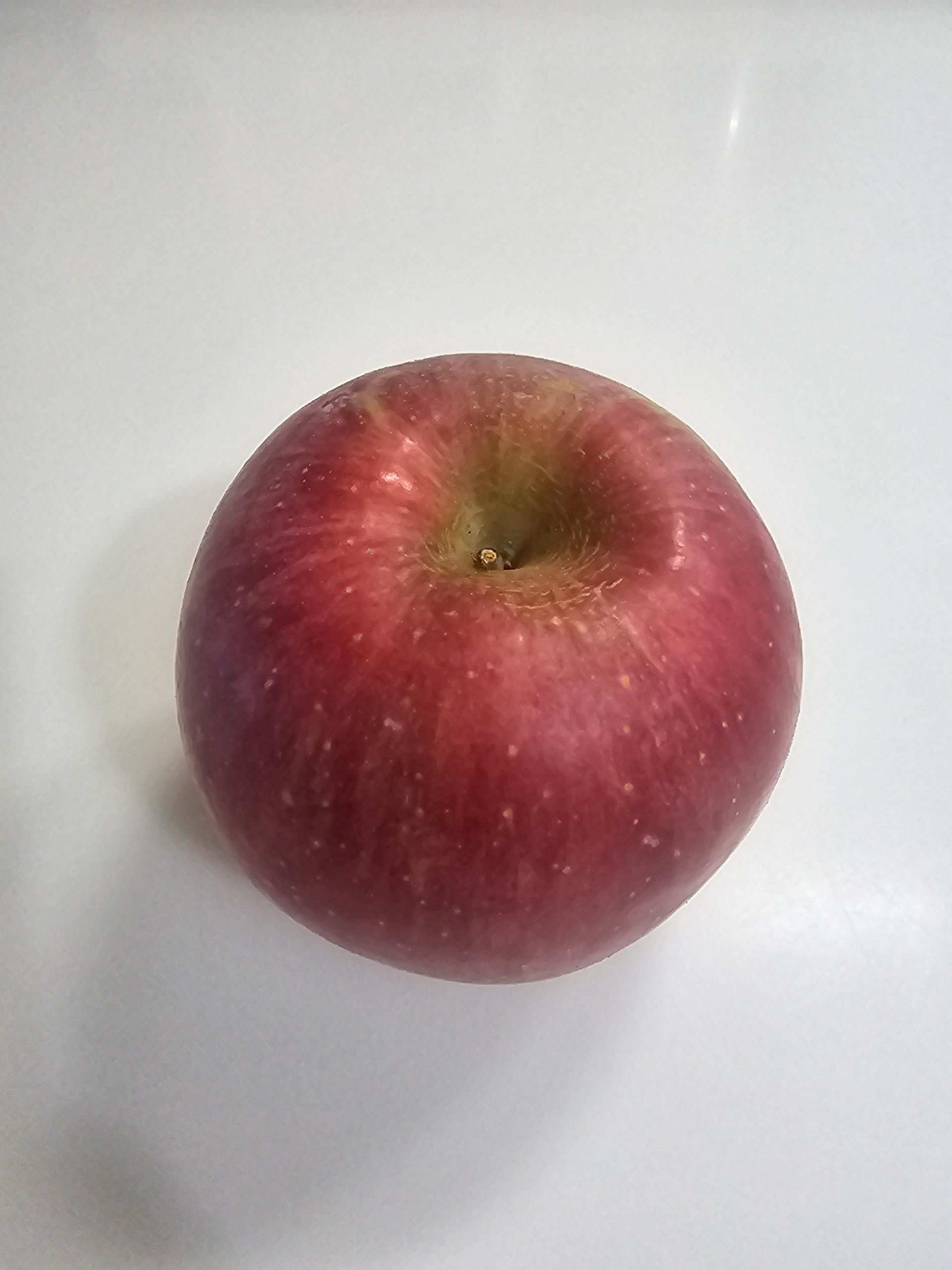 포토후기 이미지