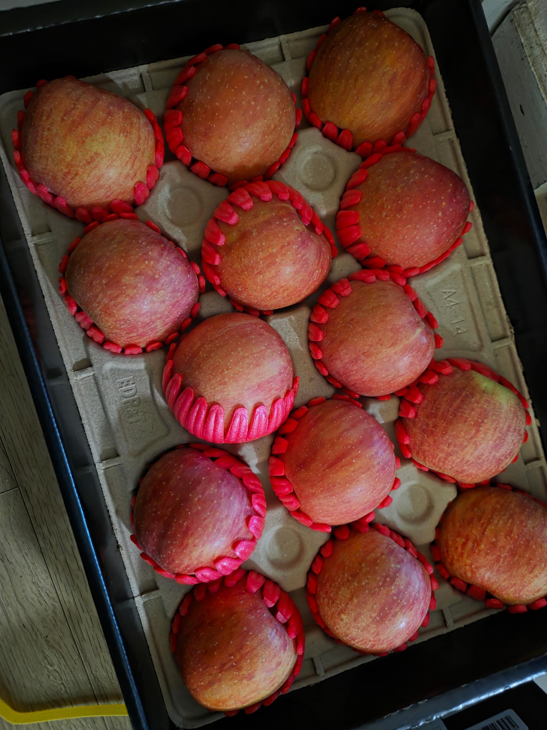 포토후기 이미지