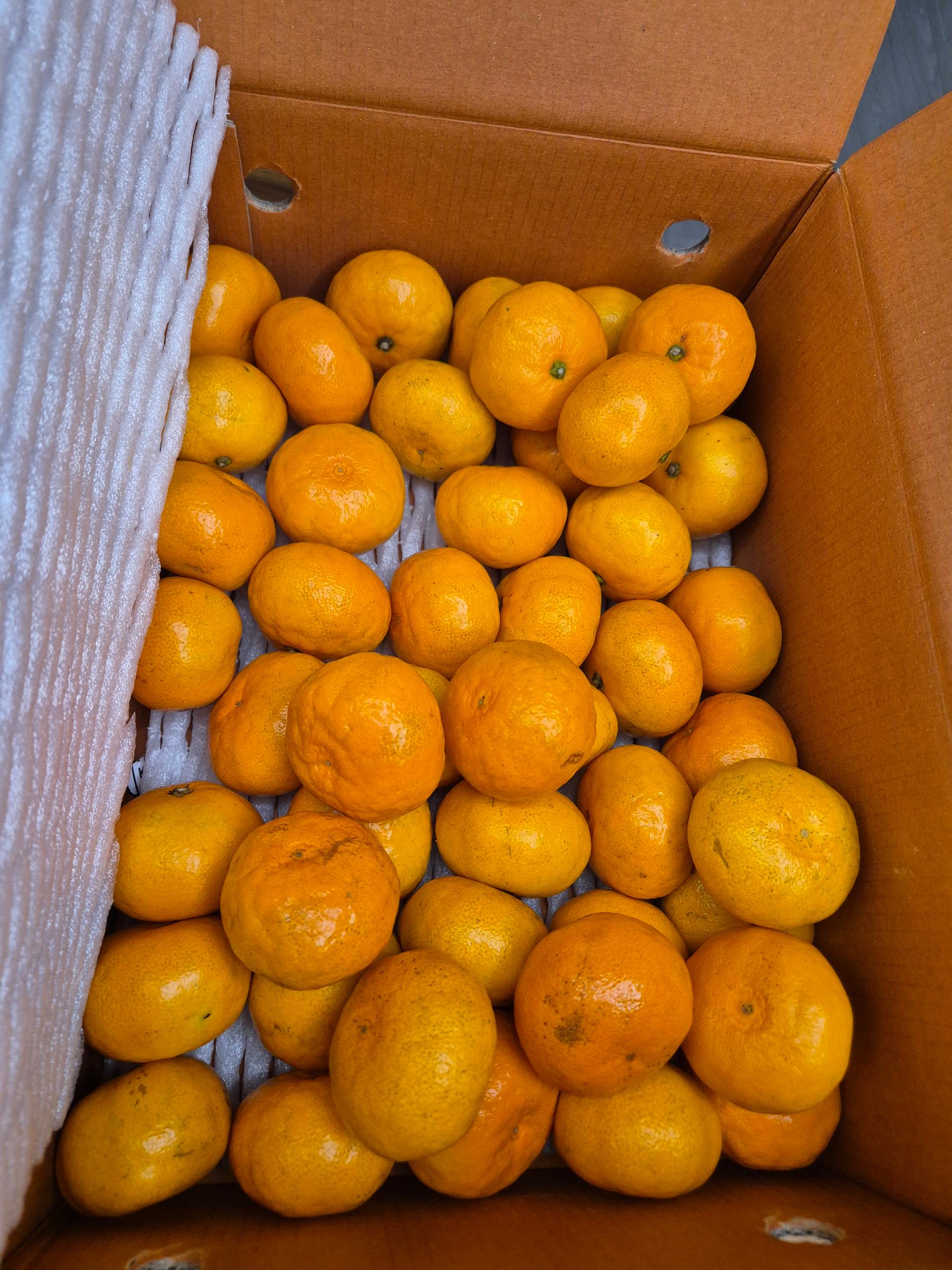 포토후기 이미지