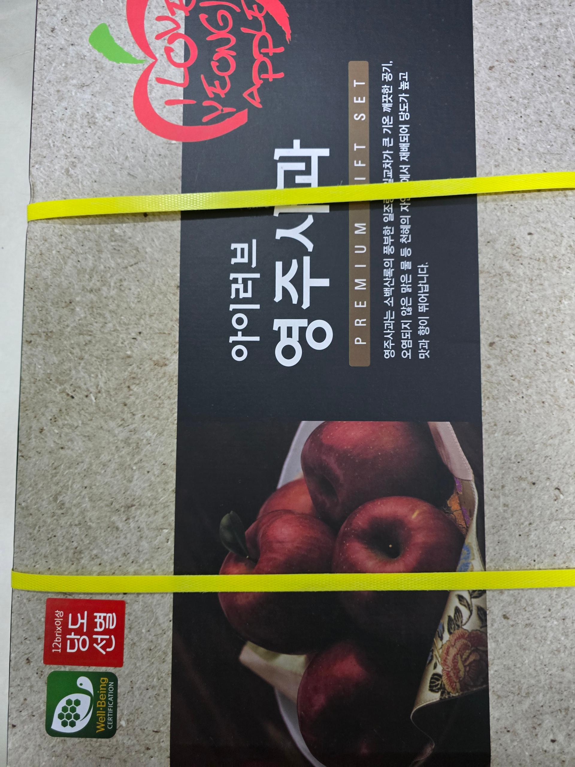 포토후기 이미지