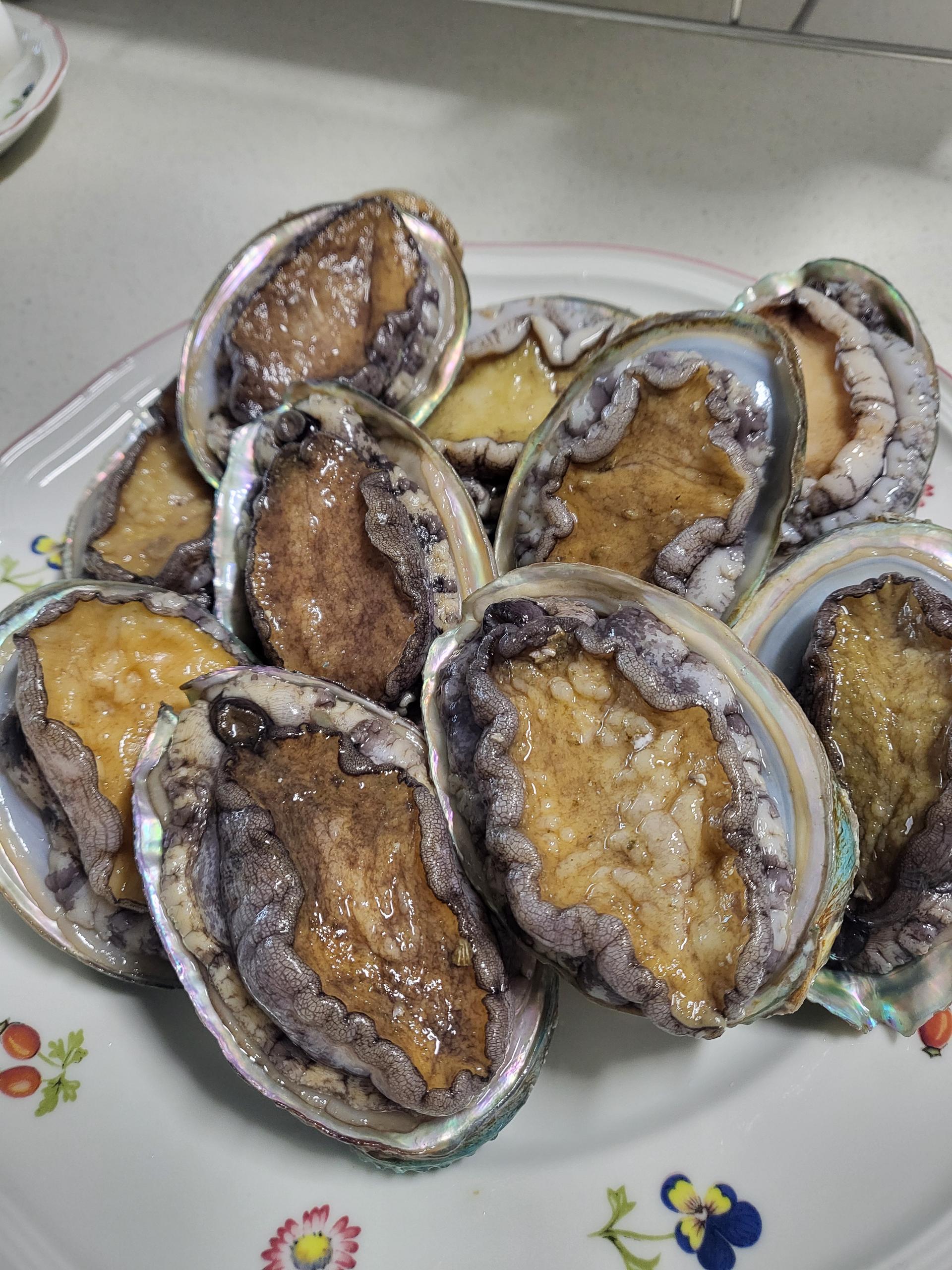 완도 전복 실속 선물세트 (1kg)