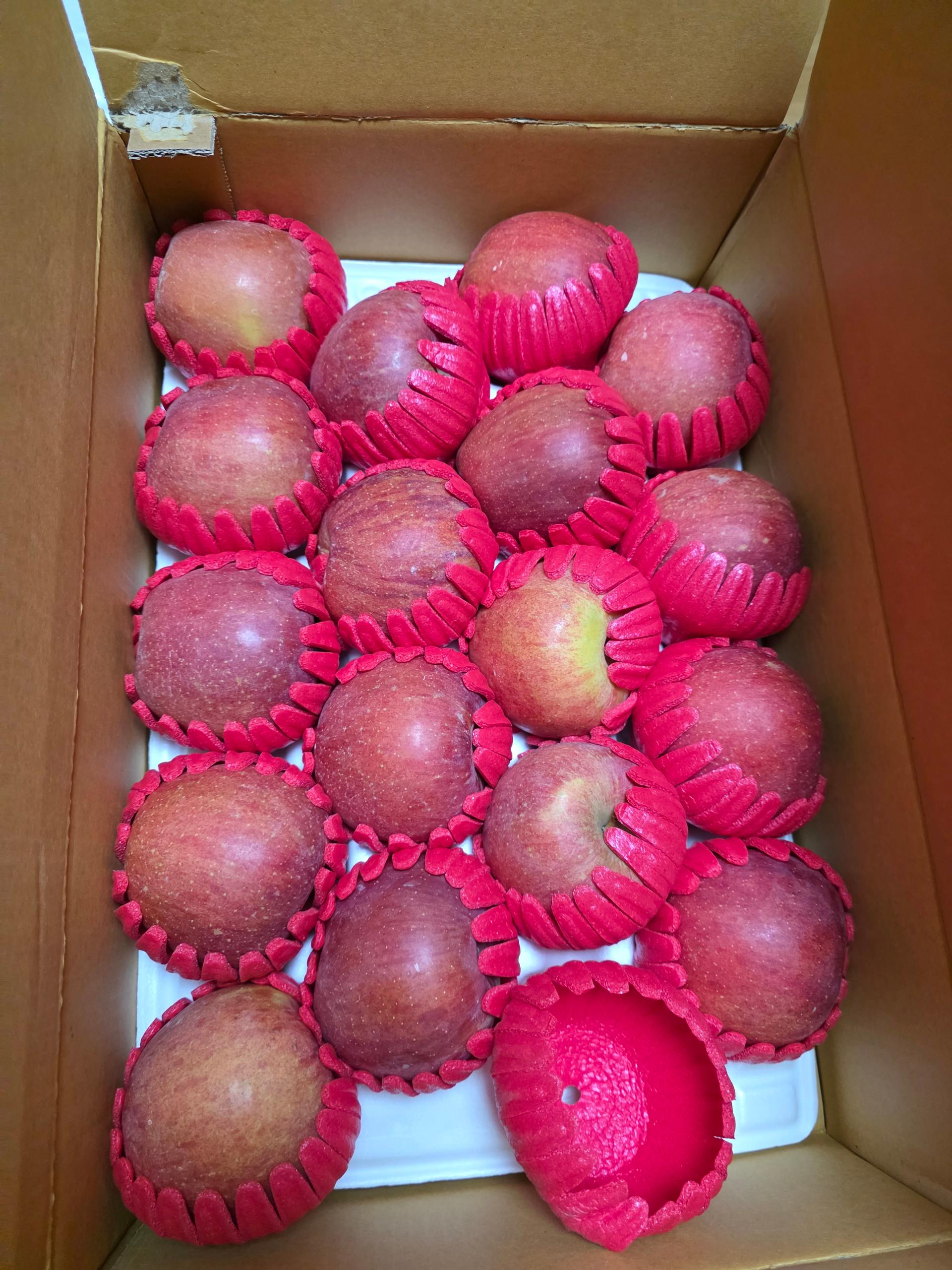 무주 반딧불 부사 4kg(18과)