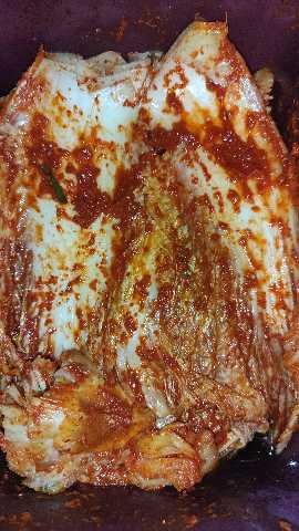 운림가 포기김치 3kg + 3kg 추가 증정