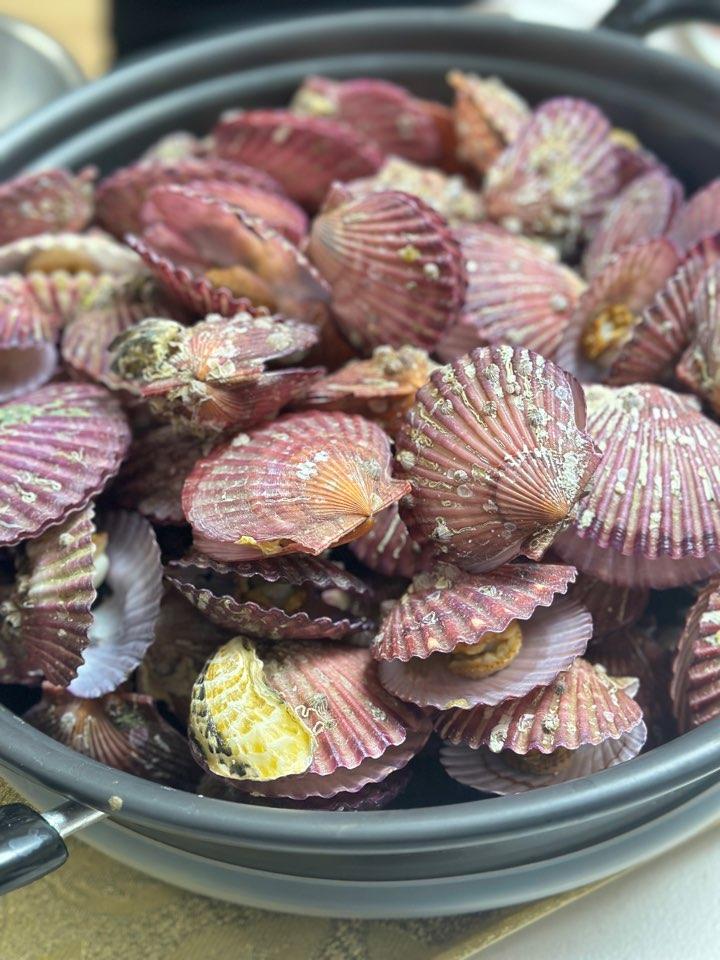 통영 홍가리비(6kg/12kg)