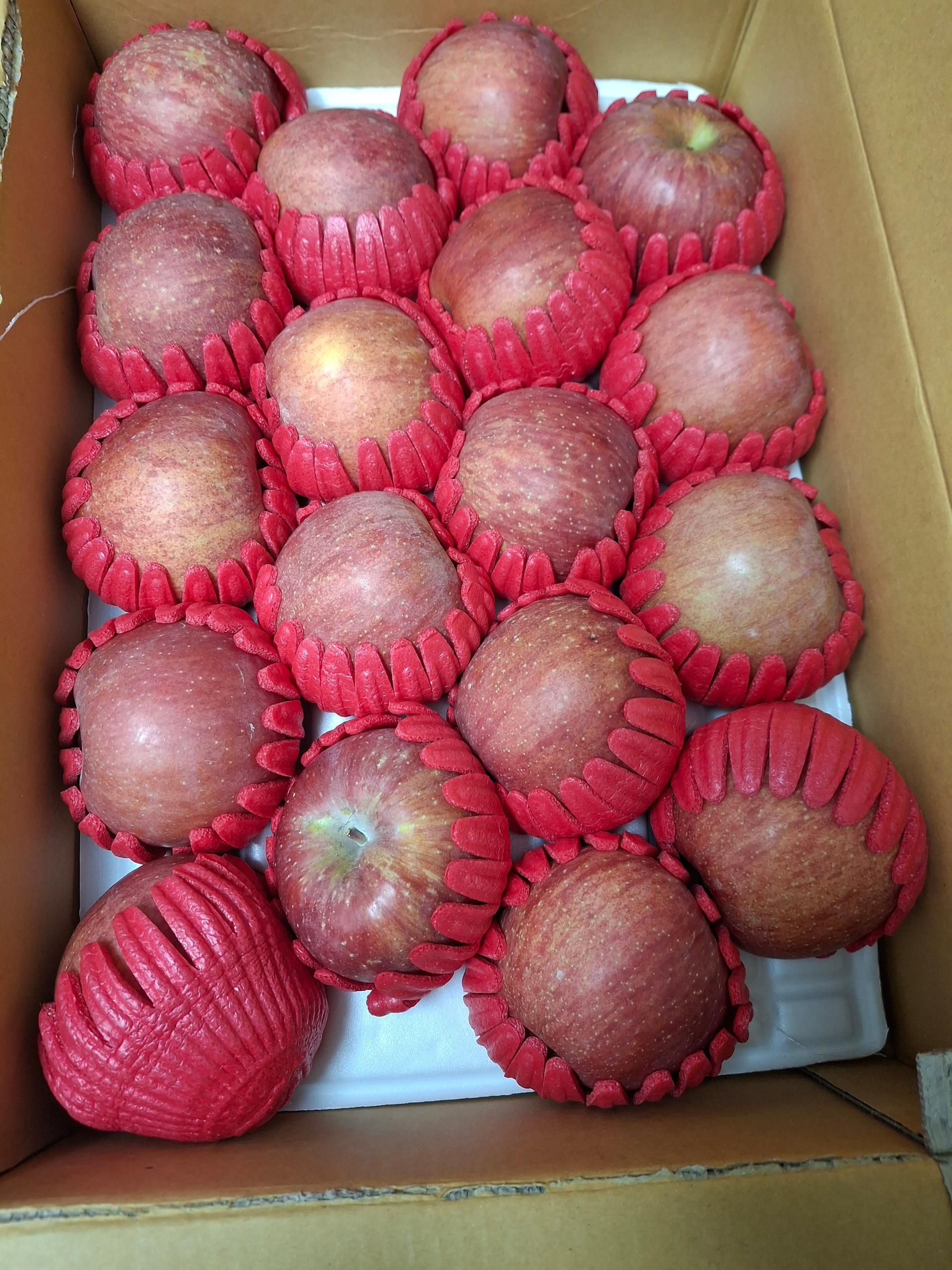 무주 반딧불 부사 4kg(18과)