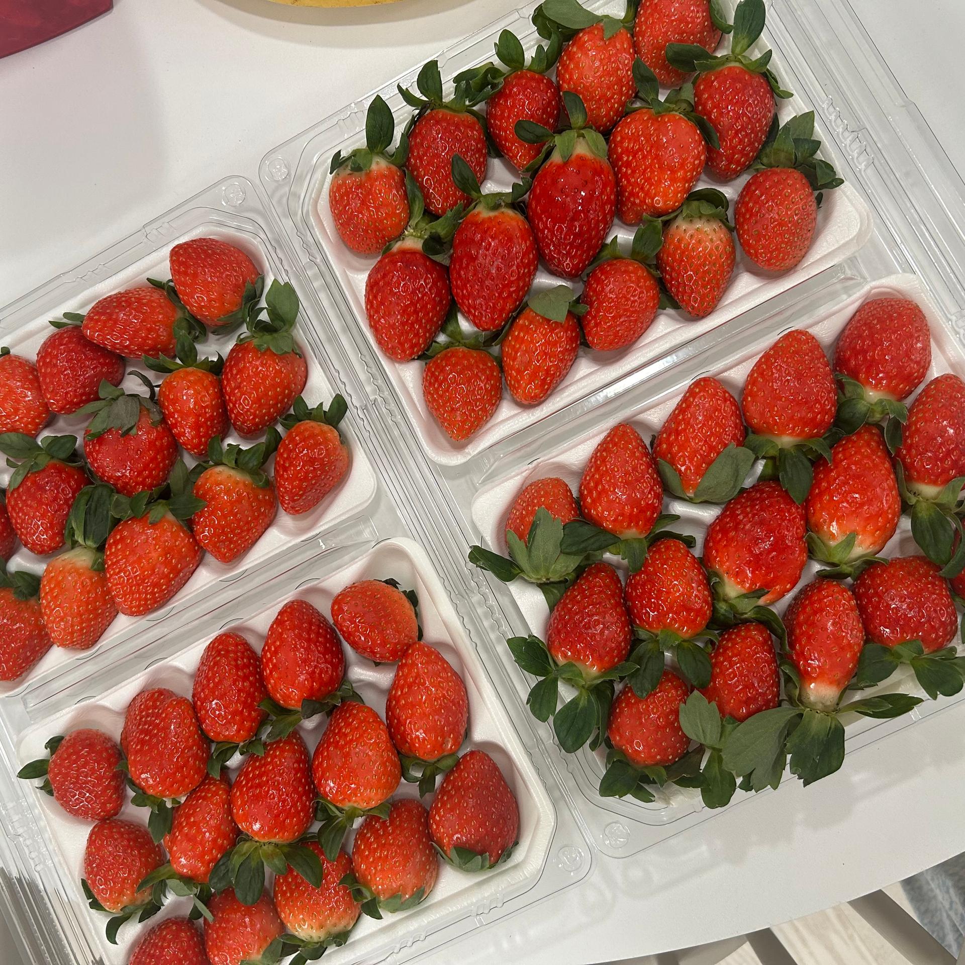 [사전예약] 명품 설향딸기 800g + 800g 이미지