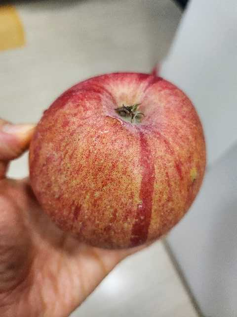 풍기농협 영주사과 3.5kg + 1kg 추가증정 이미지