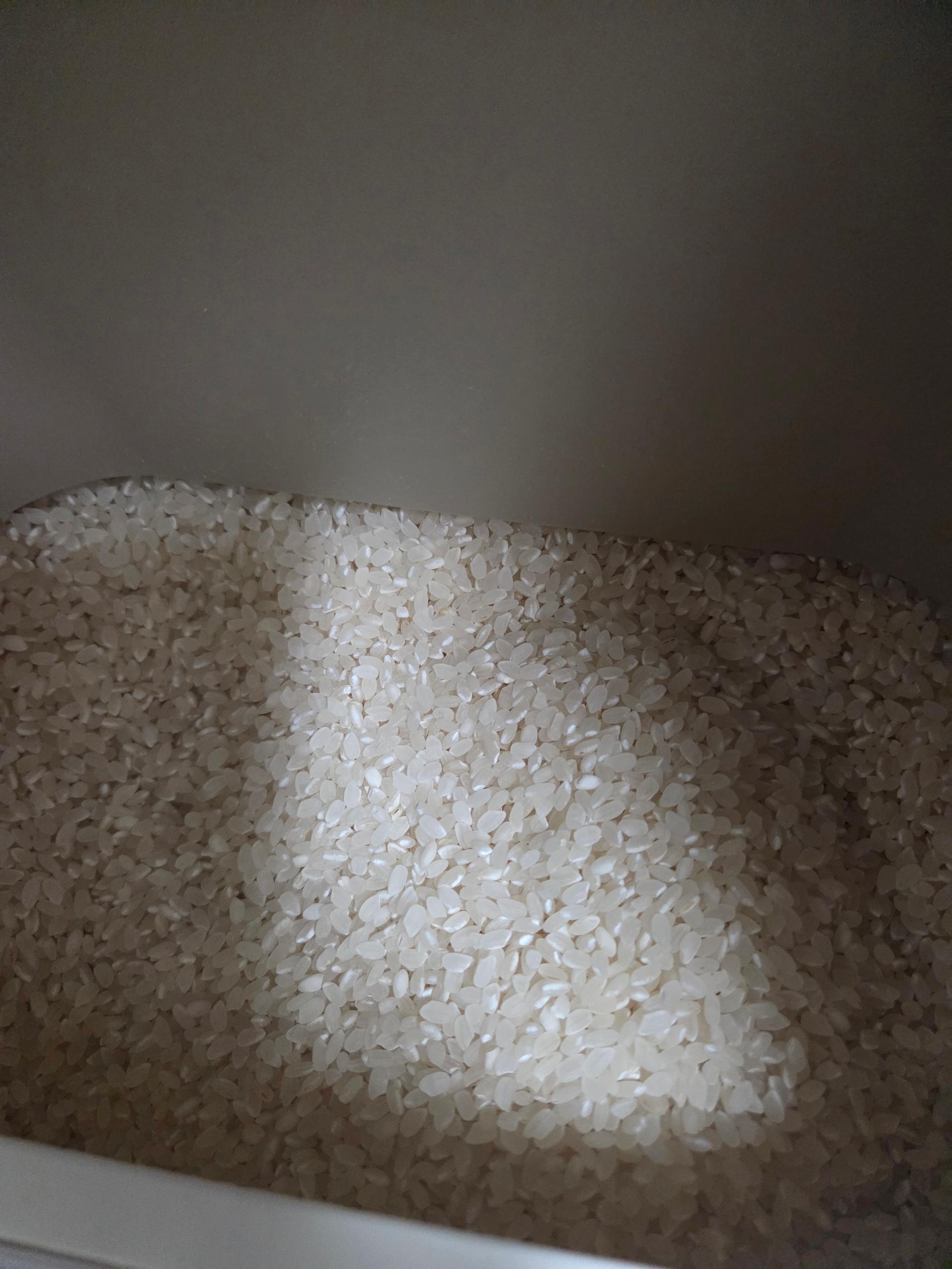 육군병장쌀 10kg