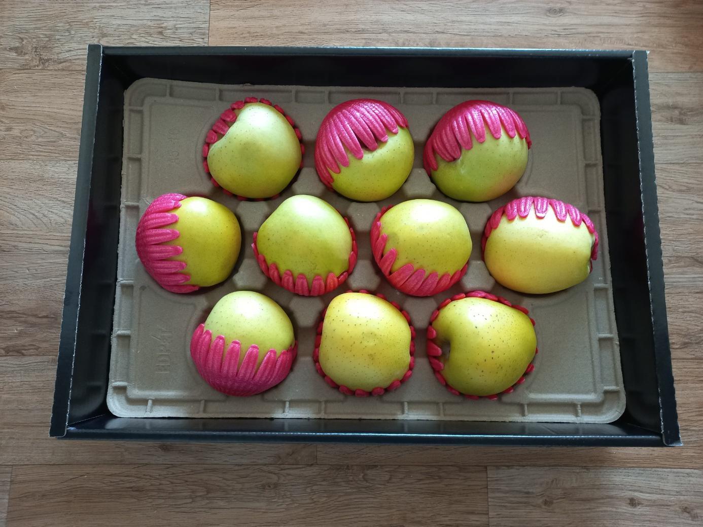 대경사과원예농협]영주사과 3.2kg 선물세트+1kg 추가 증정 (10입내) 이미지