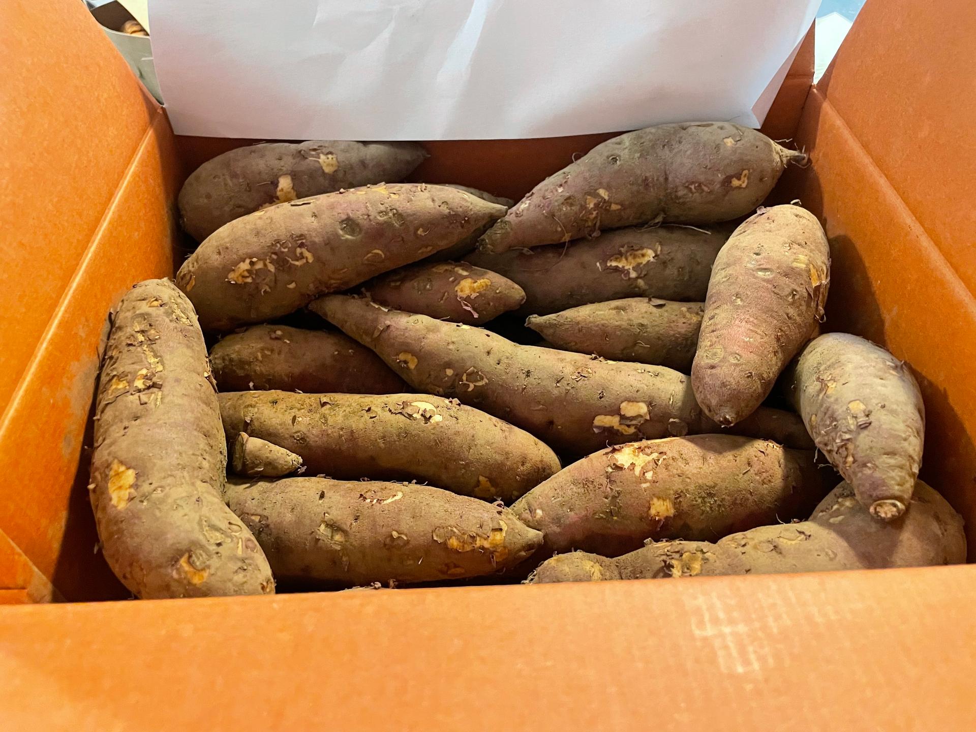 욕지도 고구마 (꿀고구마 5kg, 밤고구마 5kg, 호박고구마 5kg) 