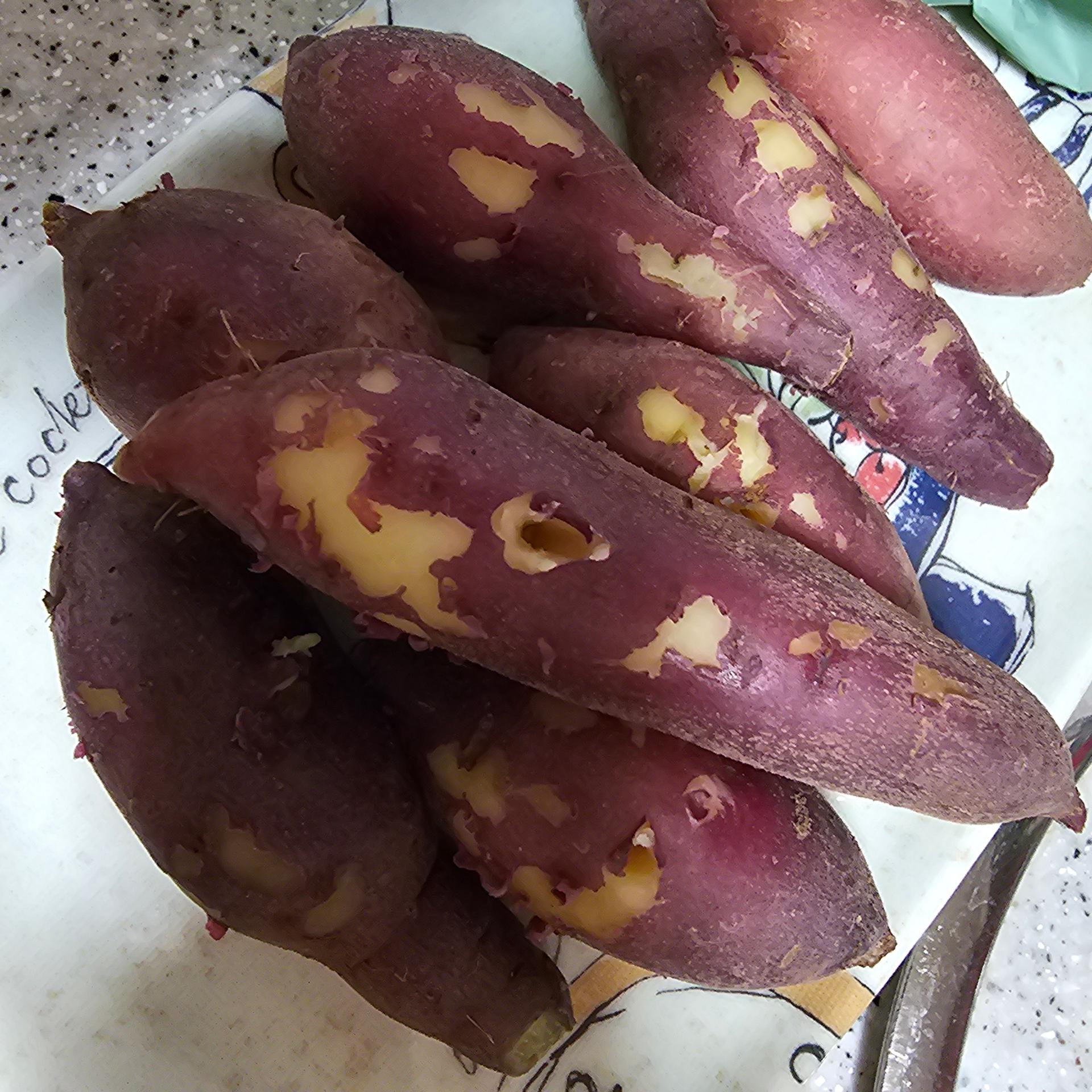 [EVENT] 무농약 김의준 꿀고구마 (대 3kg + 하 3kg) + 대 2kg 추가증정