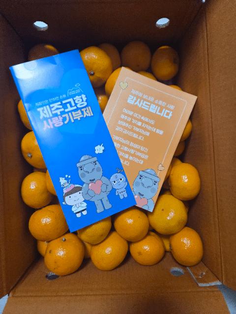 [연말한정! 감귤/과즐 개별 발송] 제주감귤 4kg (1박스)+감귤과즐 24봉 선물세트