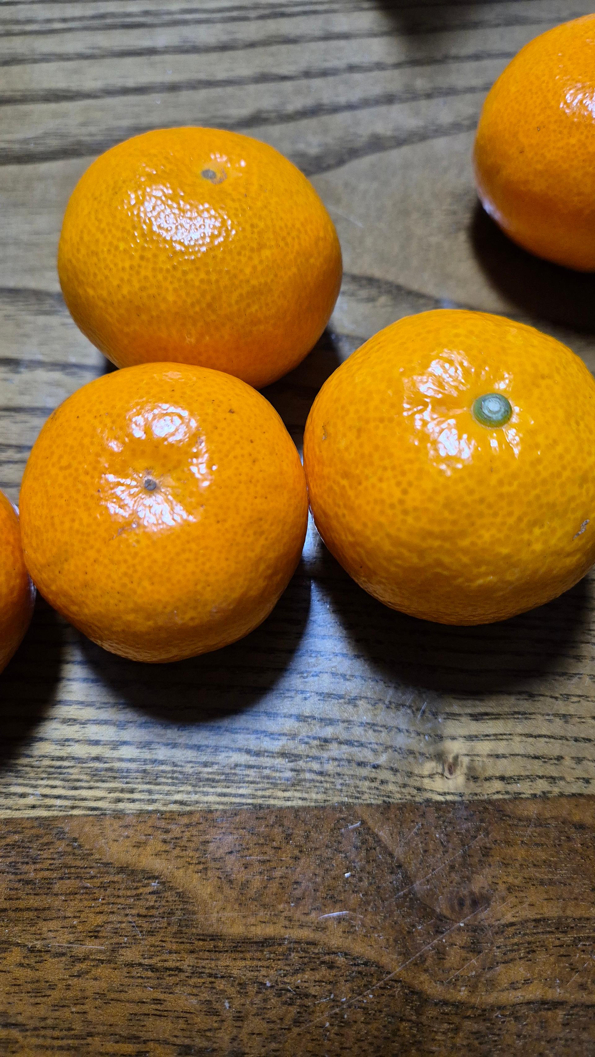 [연말한정! 감귤/과즐 개별 발송] 제주감귤 4kg (1박스)+감귤과즐 24봉 선물세트