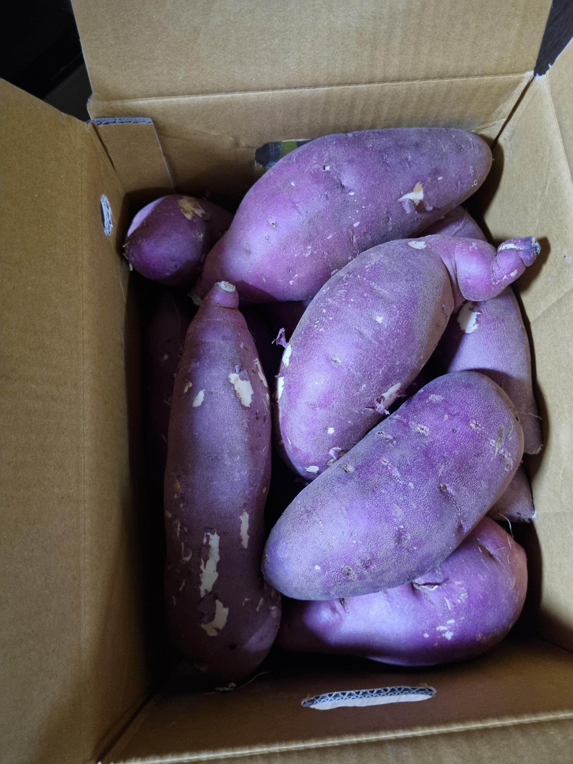 [EVENT] 무농약 김의준 꿀고구마 (대 3kg + 하 3kg) + 대 2kg 추가증정