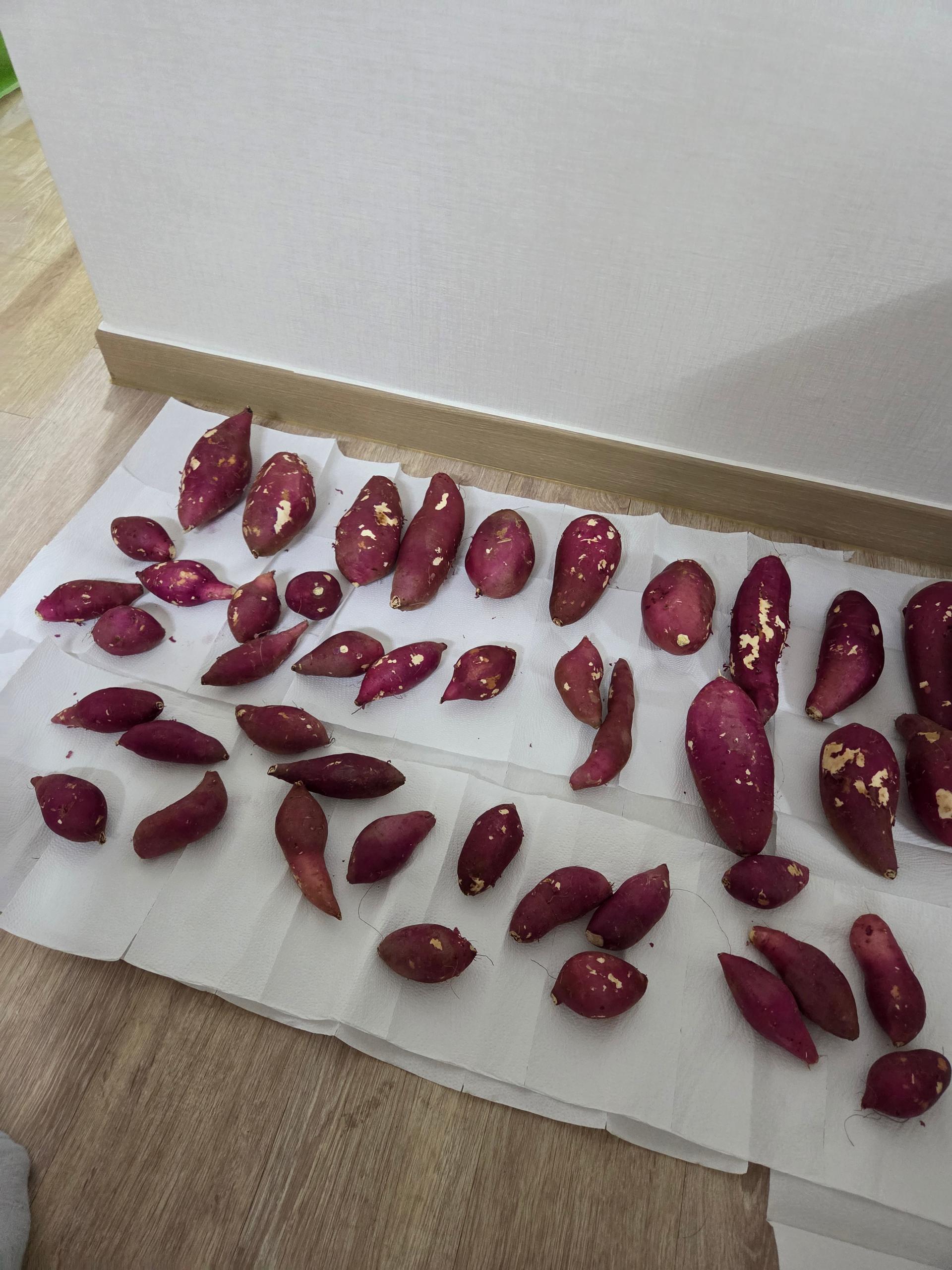 [EVENT] 무농약 김의준 꿀고구마 (대 3kg + 하 3kg) + 대 2kg 추가증정