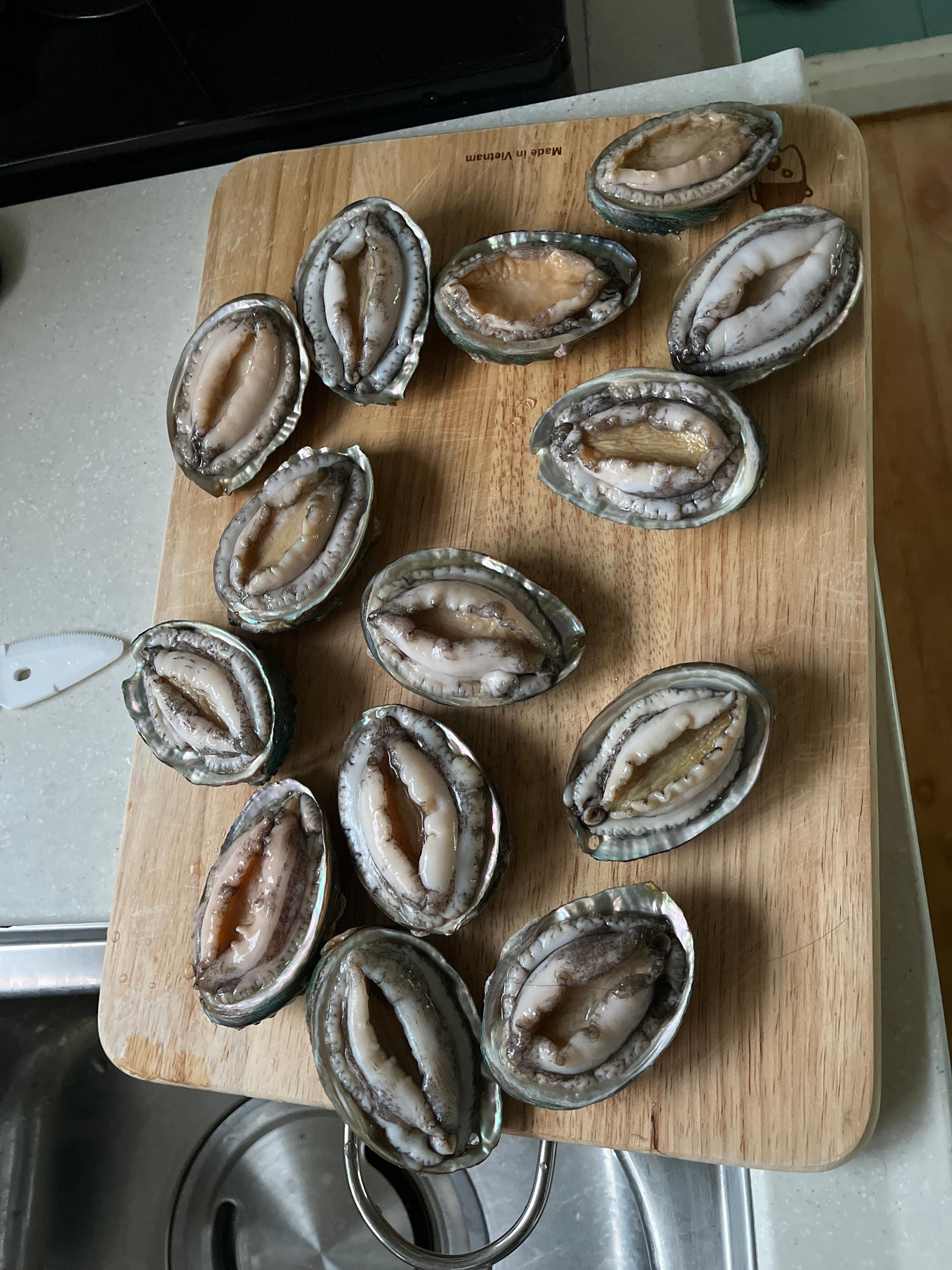 땅끝일번가전복 활전복 18미 - 1kg