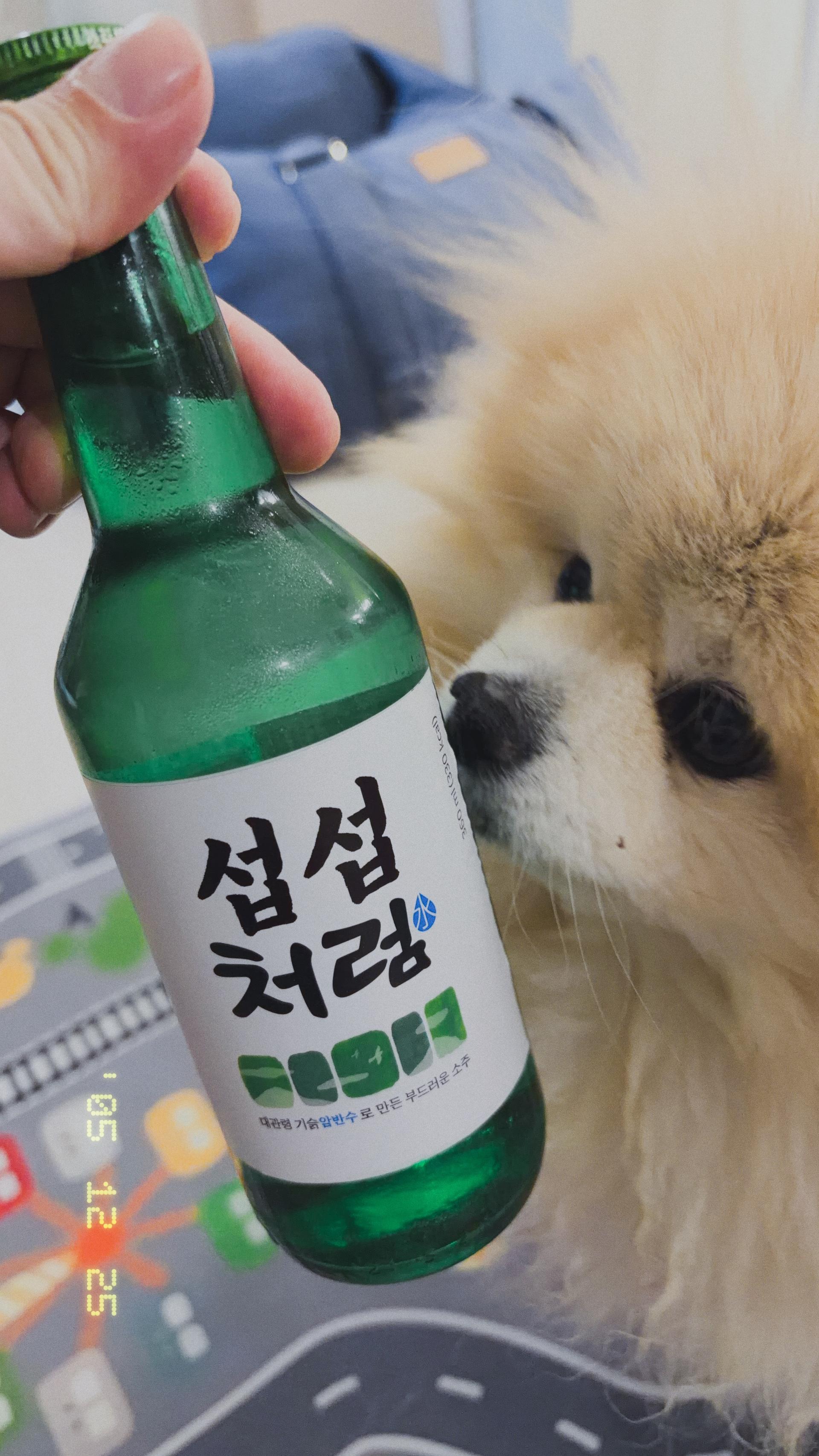 [EVENT] 강원산돈 돼지고기 선물세트 1.7kg + 네임라벨 부착 소주 추가 증정 이미지