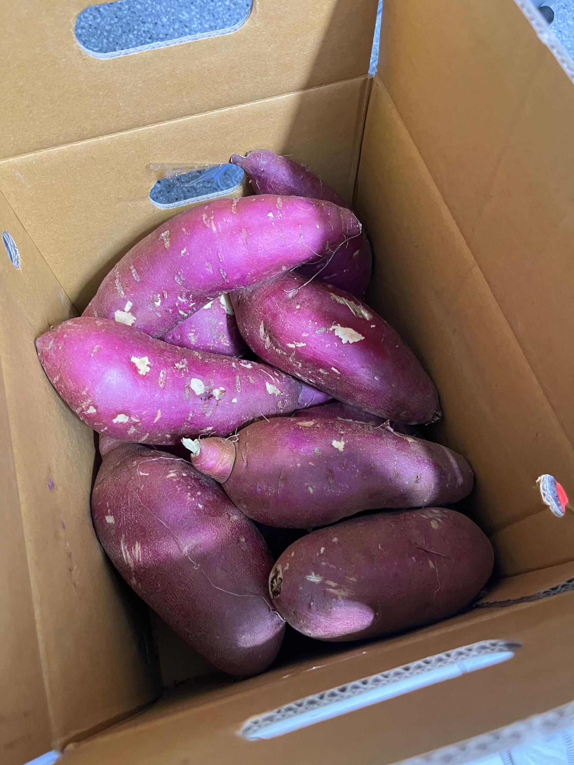 [EVENT] 무농약 김의준 꿀고구마 (대 3kg + 하 3kg) + 대 2kg 추가증정