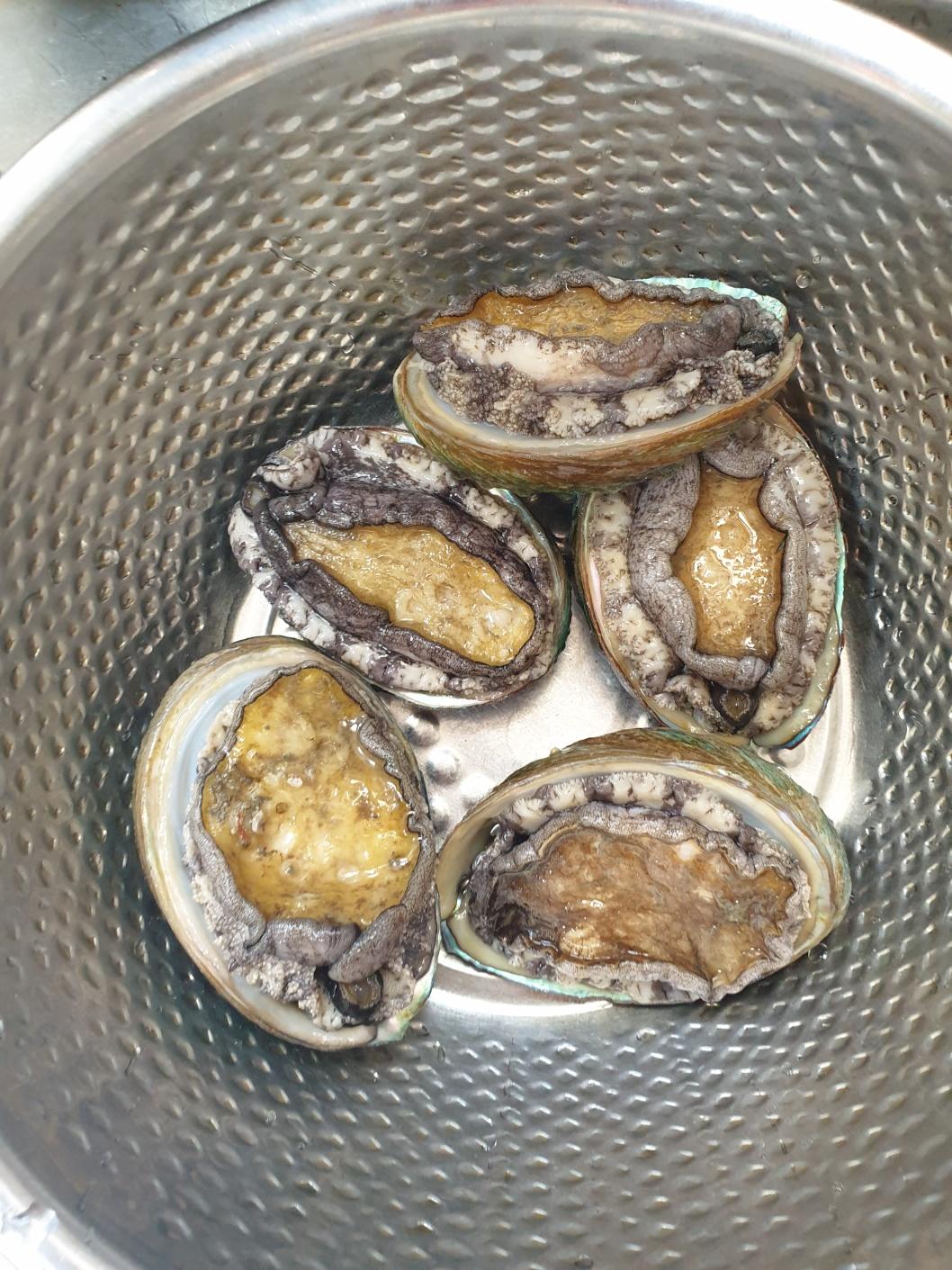 활전복 1kg (10~12미) + 1마리 추가