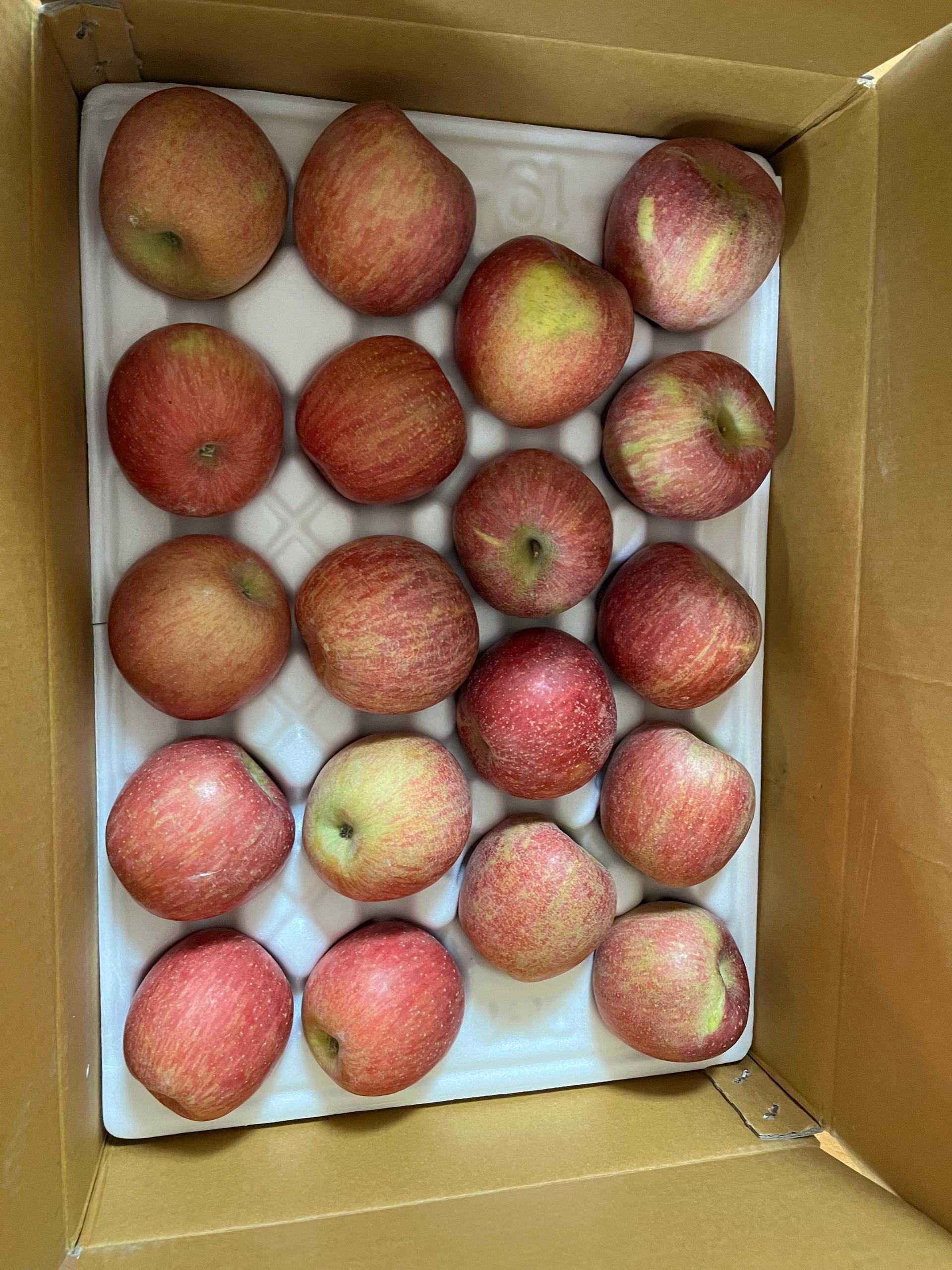 풍기농협 영주사과 3.5kg + 1kg 추가증정 이미지