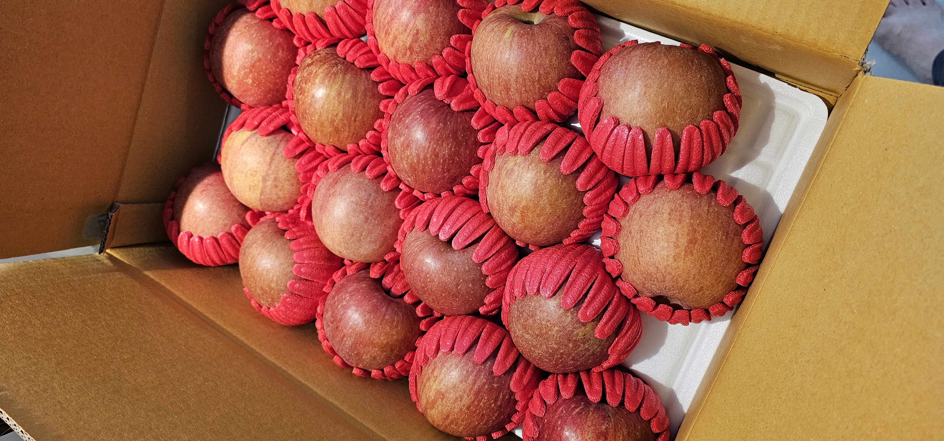 무주 반딧불 부사 4kg(18과)