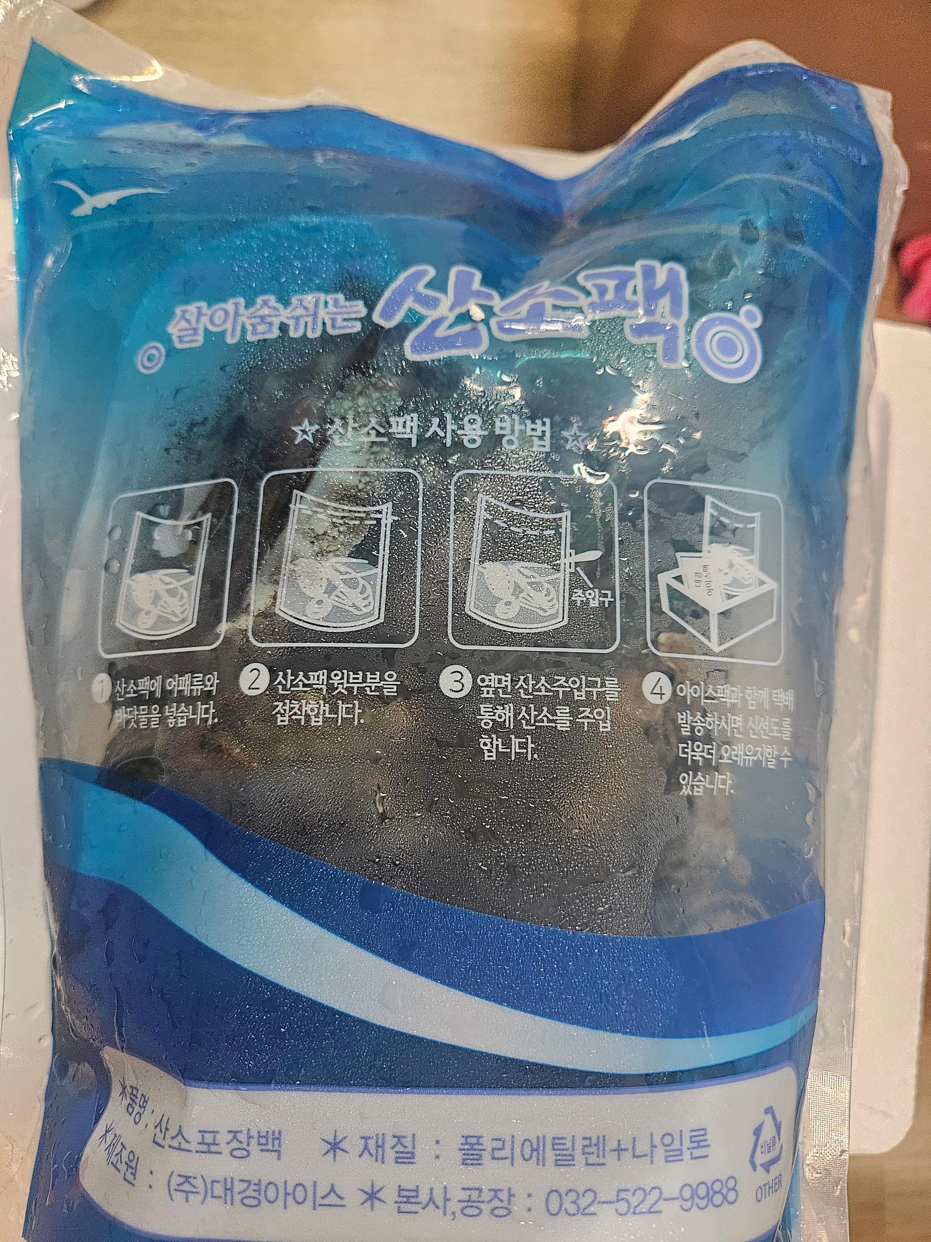 활전복 1kg (10~12미) + 1마리 추가