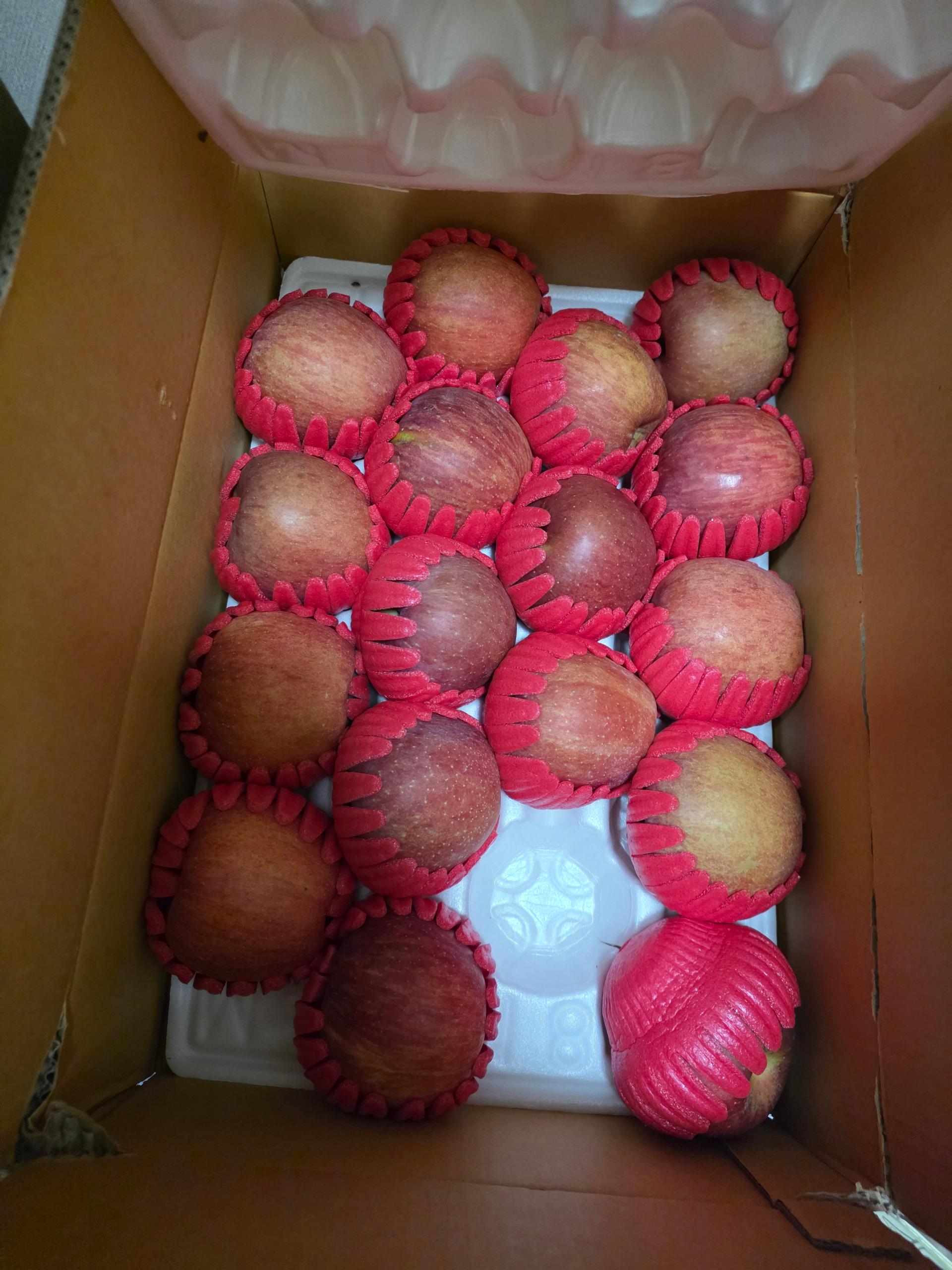 무주 반딧불 부사 4kg(18과)