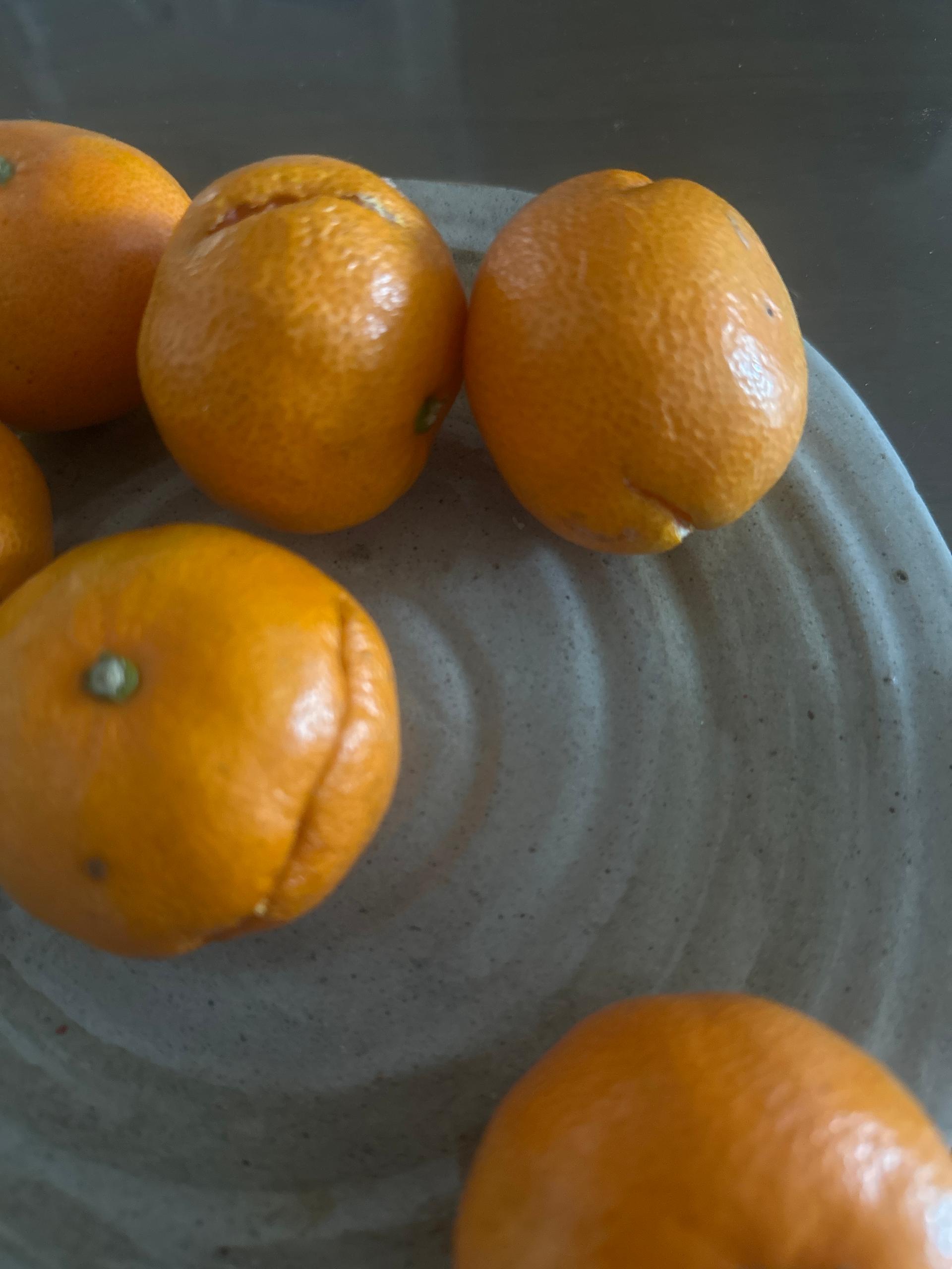 [연말한정! 감귤/과즐 개별 발송] 제주감귤 4kg (1박스)+감귤과즐 24봉 선물세트