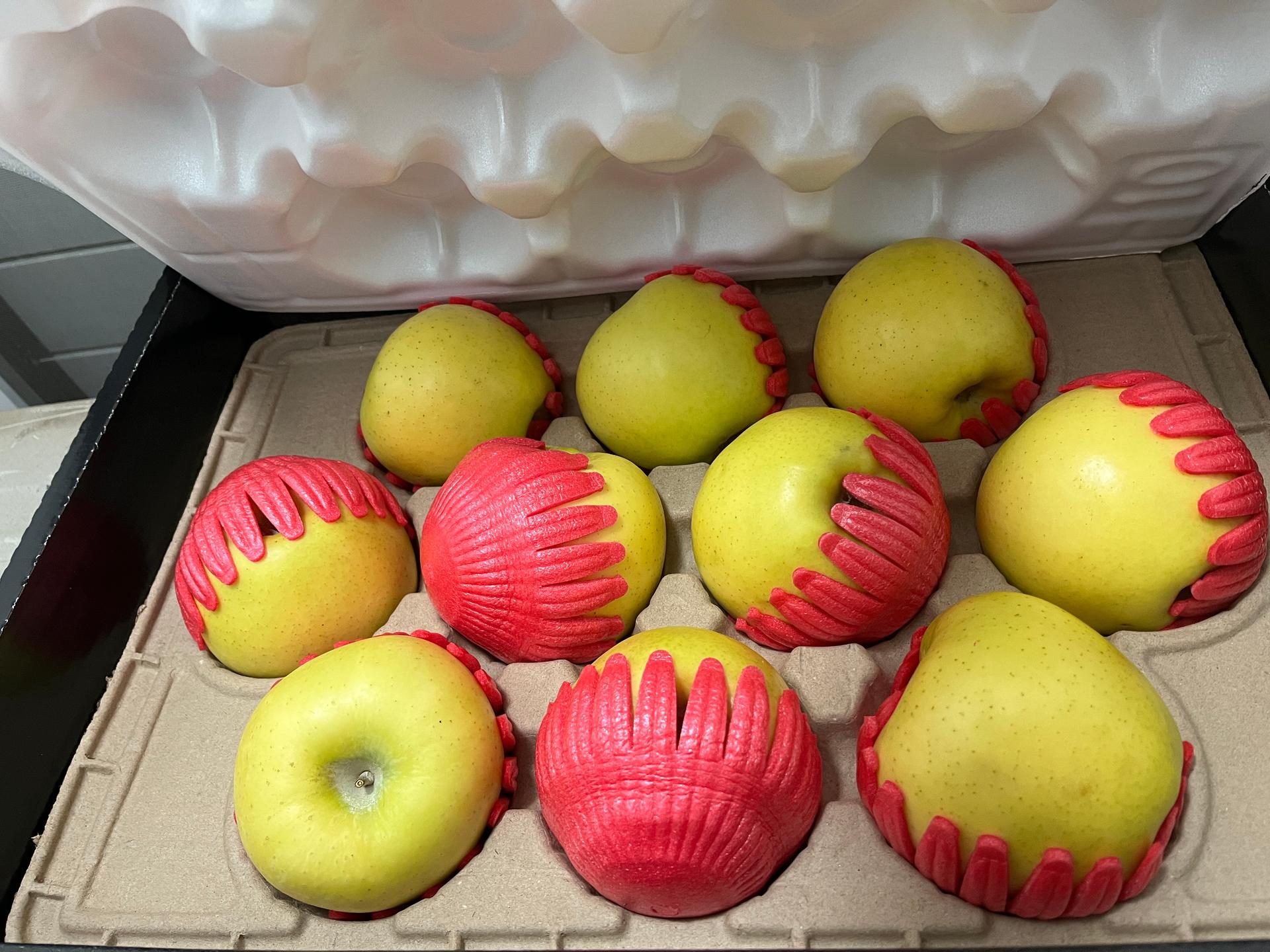 대경사과원예농협]영주사과 3.2kg 선물세트+1kg 추가 증정 (10입내)