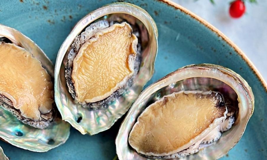 손질전복 12마리 (6마리 x 2팩)