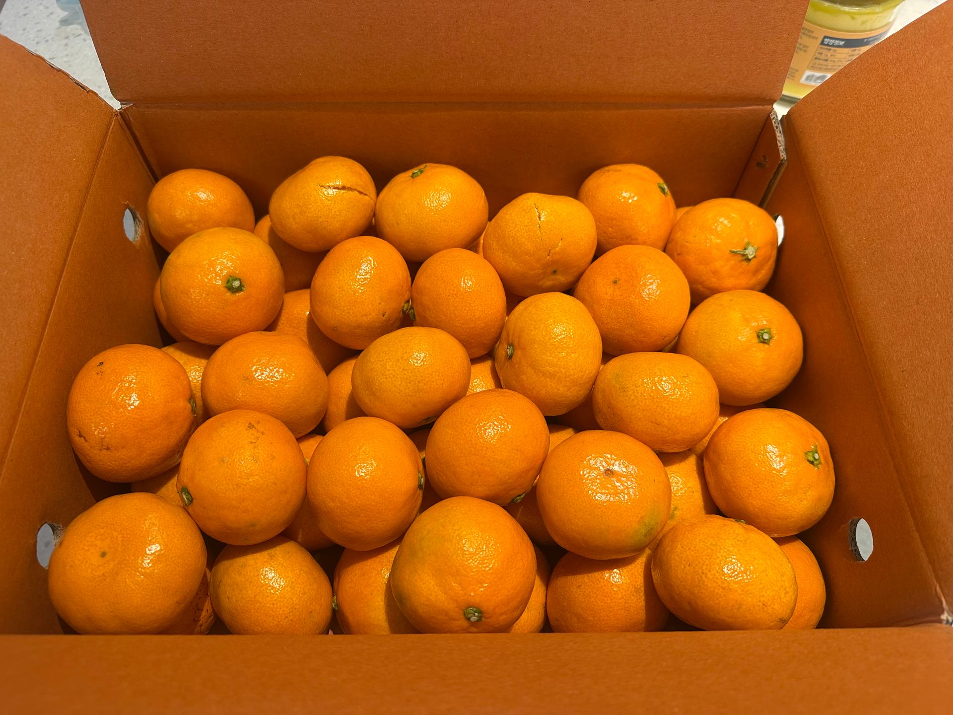 행복담원 타이벡귤 5kg (로얄과)