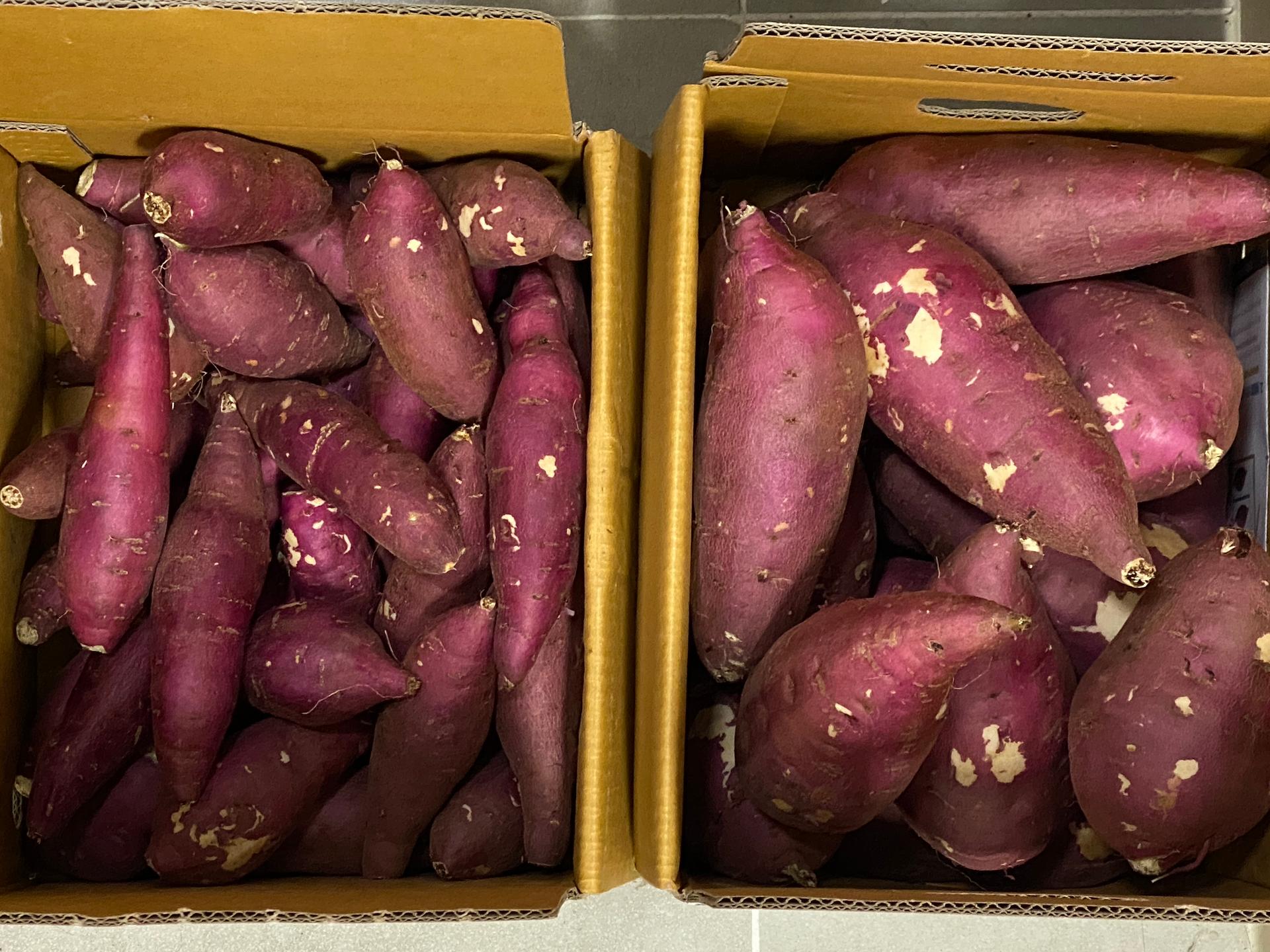 [EVENT] 무농약 김의준 꿀고구마 (대 3kg + 하 3kg) + 대 2kg 추가증정