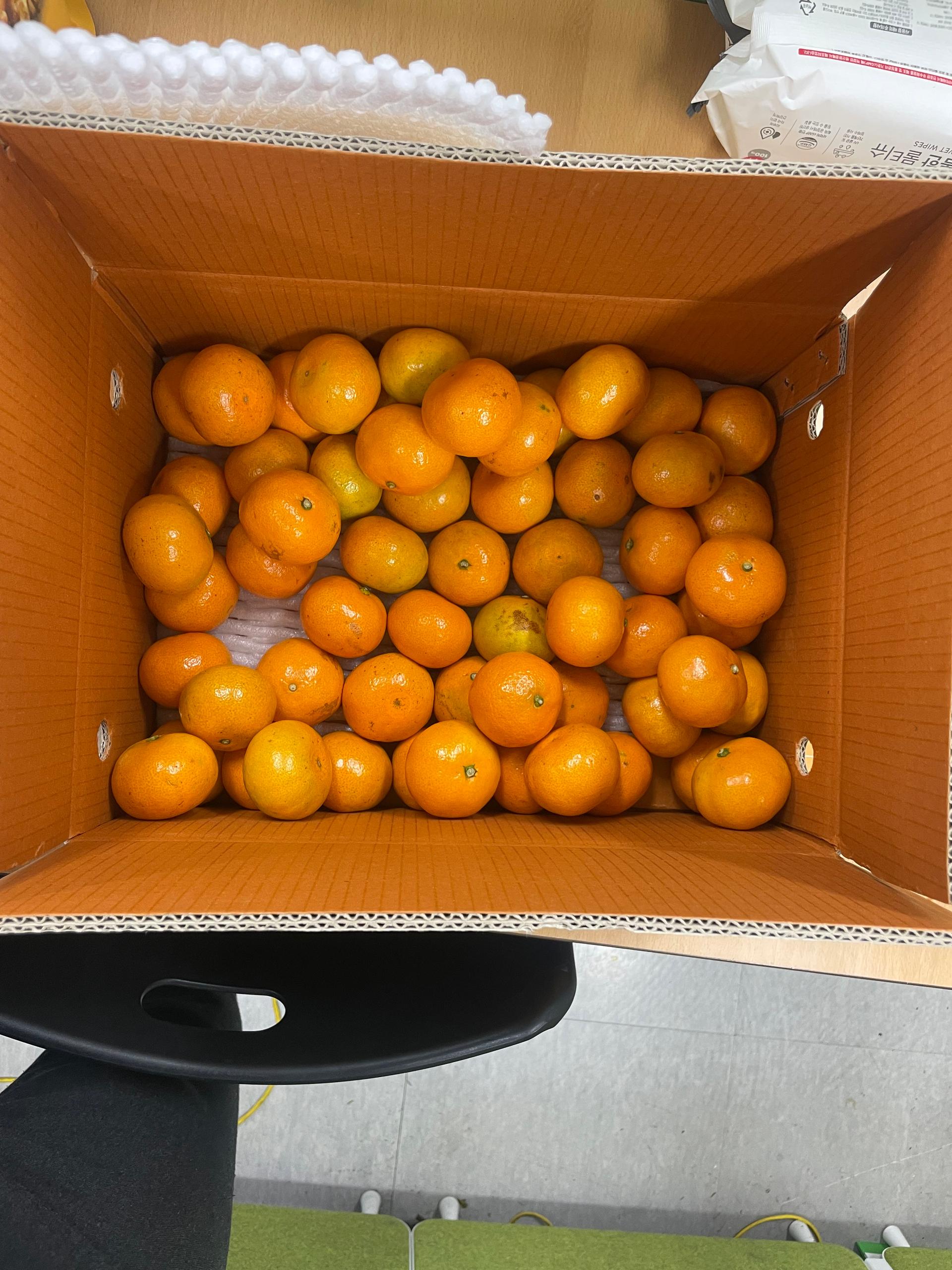 [연말한정! 감귤/과즐 개별 발송] 제주감귤 4kg (1박스)+감귤과즐 24봉 선물세트