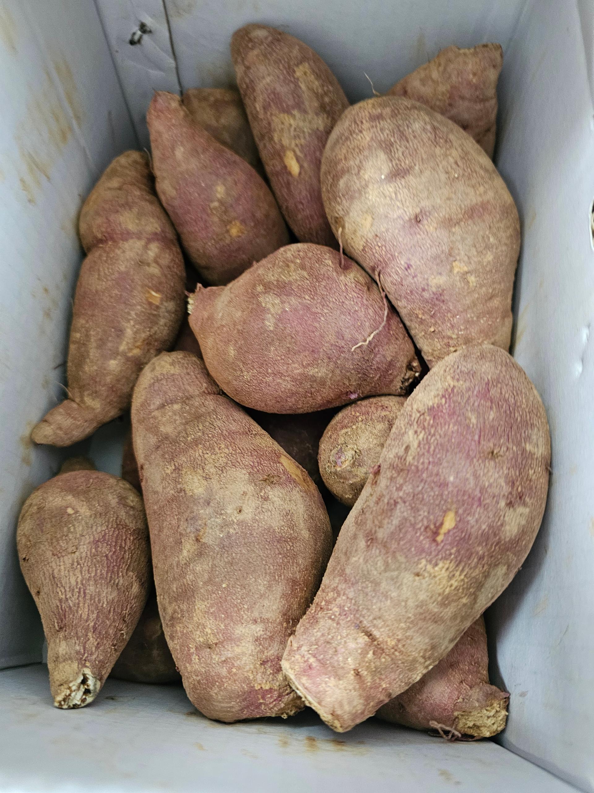 상월 꿀밤고구마 3kg + 호박고구마 3kg