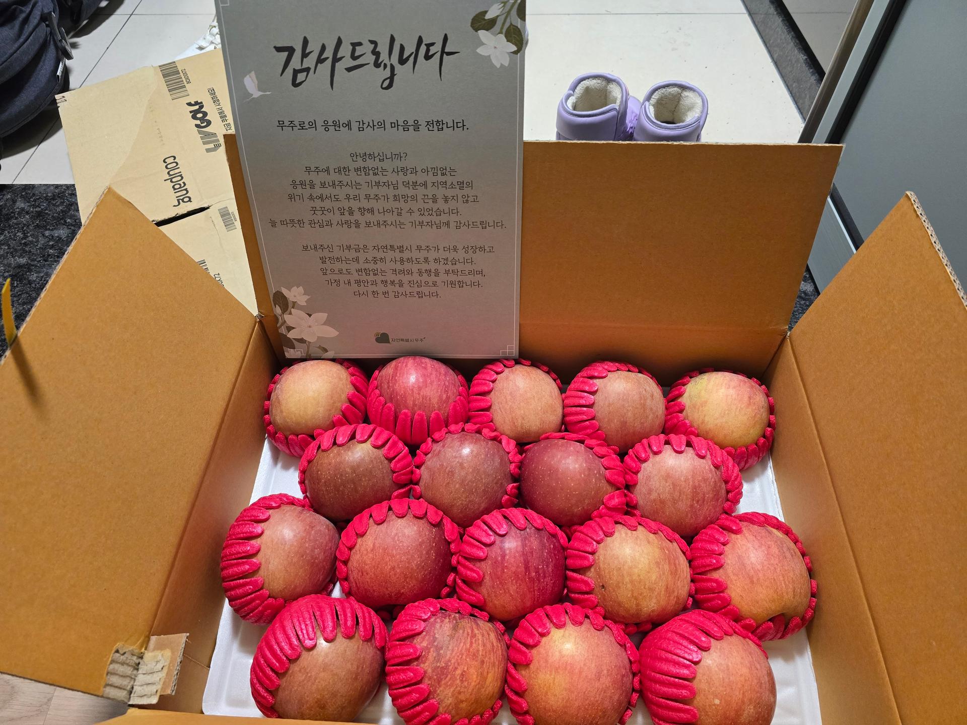 무주 반딧불 부사 4kg(18과)