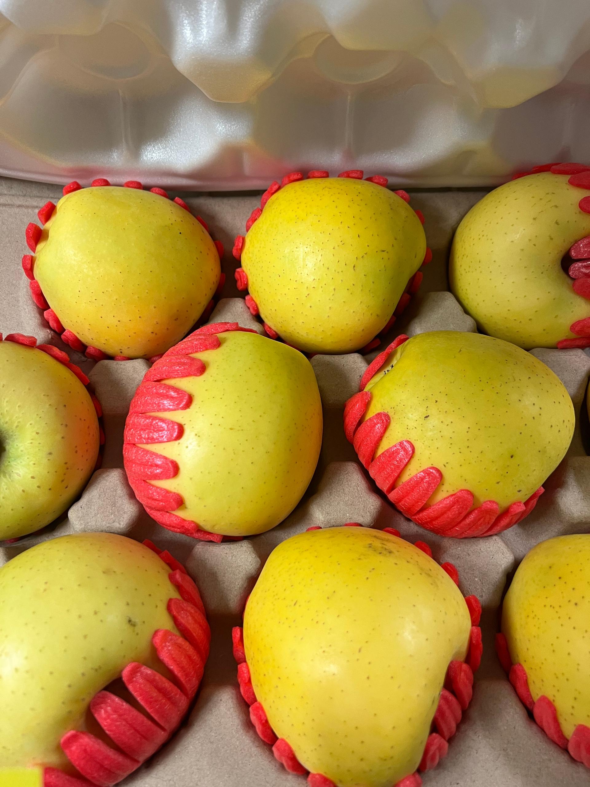 대경사과원예농협]영주사과 3.2kg 선물세트+1kg 추가 증정 (10입내)