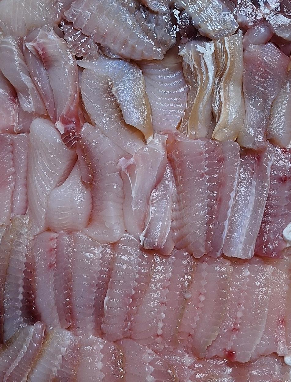 홍어 600g + 홍어애 국산홍어 목포홍어 팔도홍어