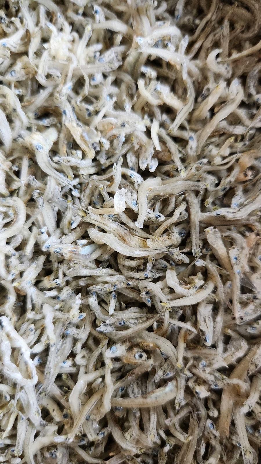 완도 잔멸치 (1kg)