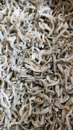 완도 잔멸치 (1kg)-1