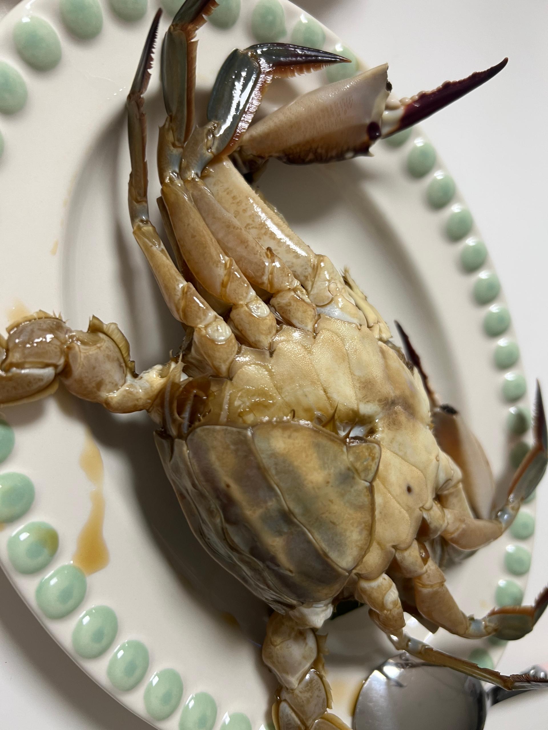 국내산 최상급 꽃게장 (땡초/일반/양념) 최대 1.8kg