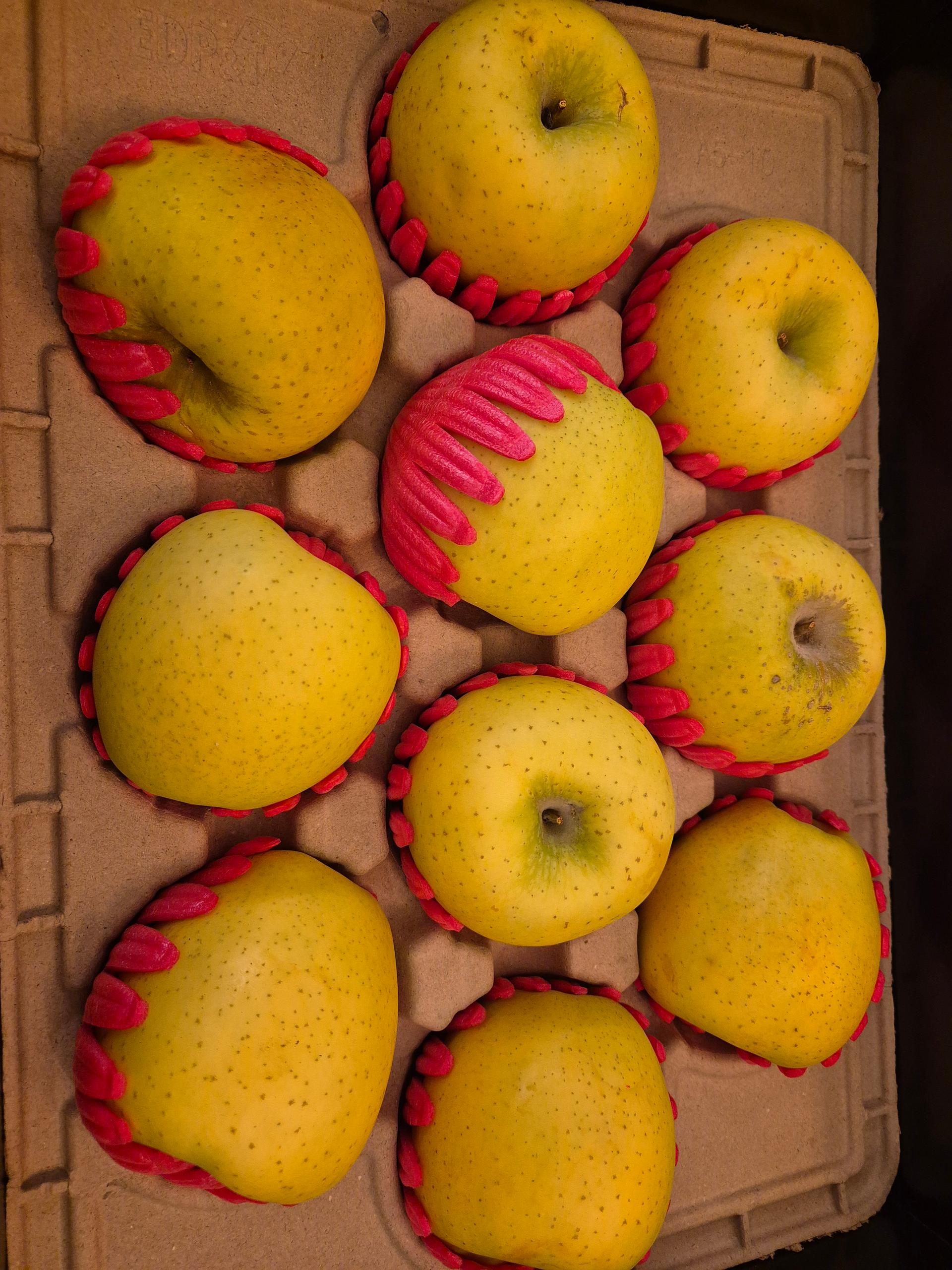 대경사과원예농협]영주사과 3.2kg 선물세트+1kg 추가 증정 (10입내)