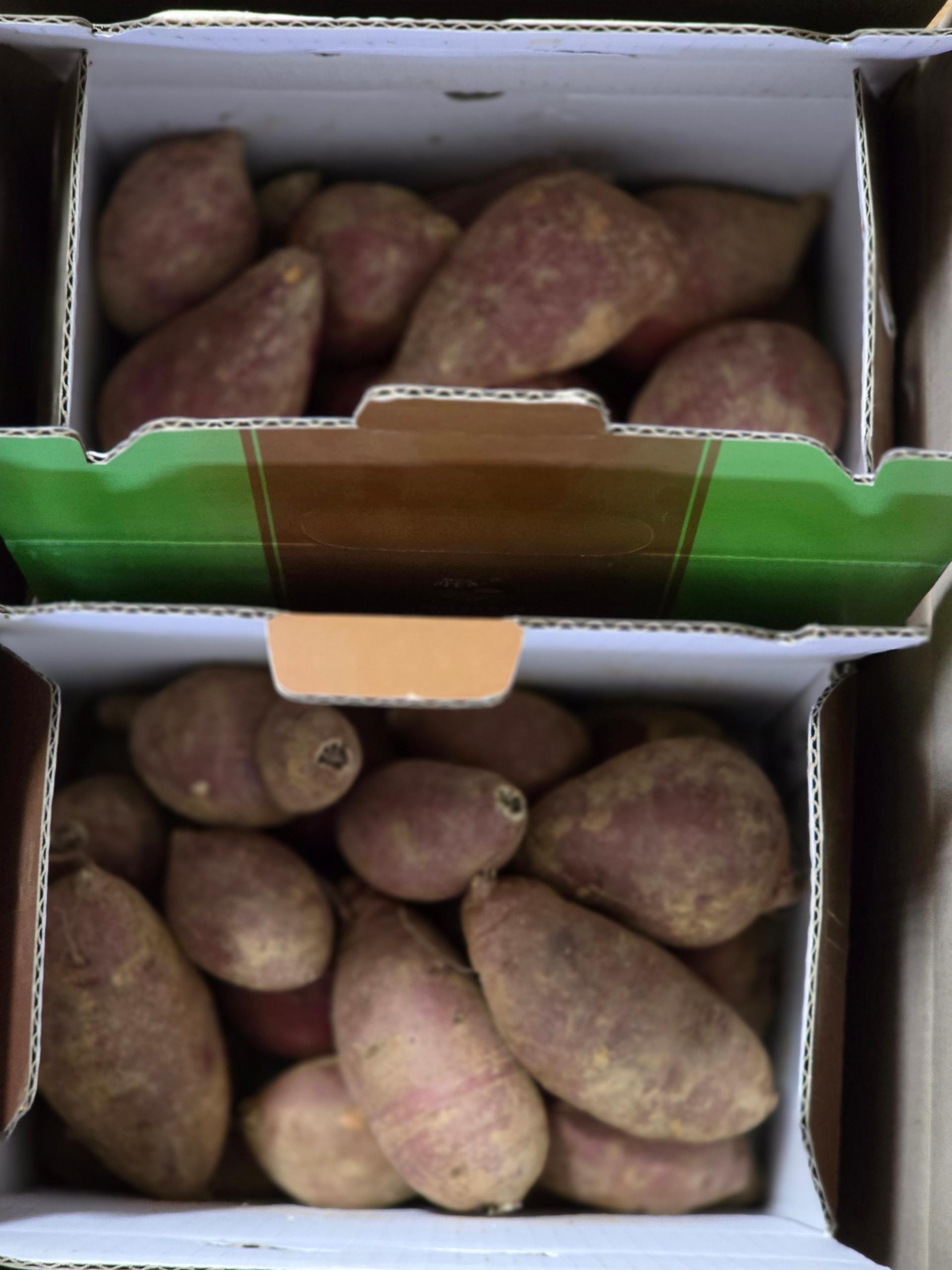 상월 꿀밤고구마 3kg + 호박고구마 3kg