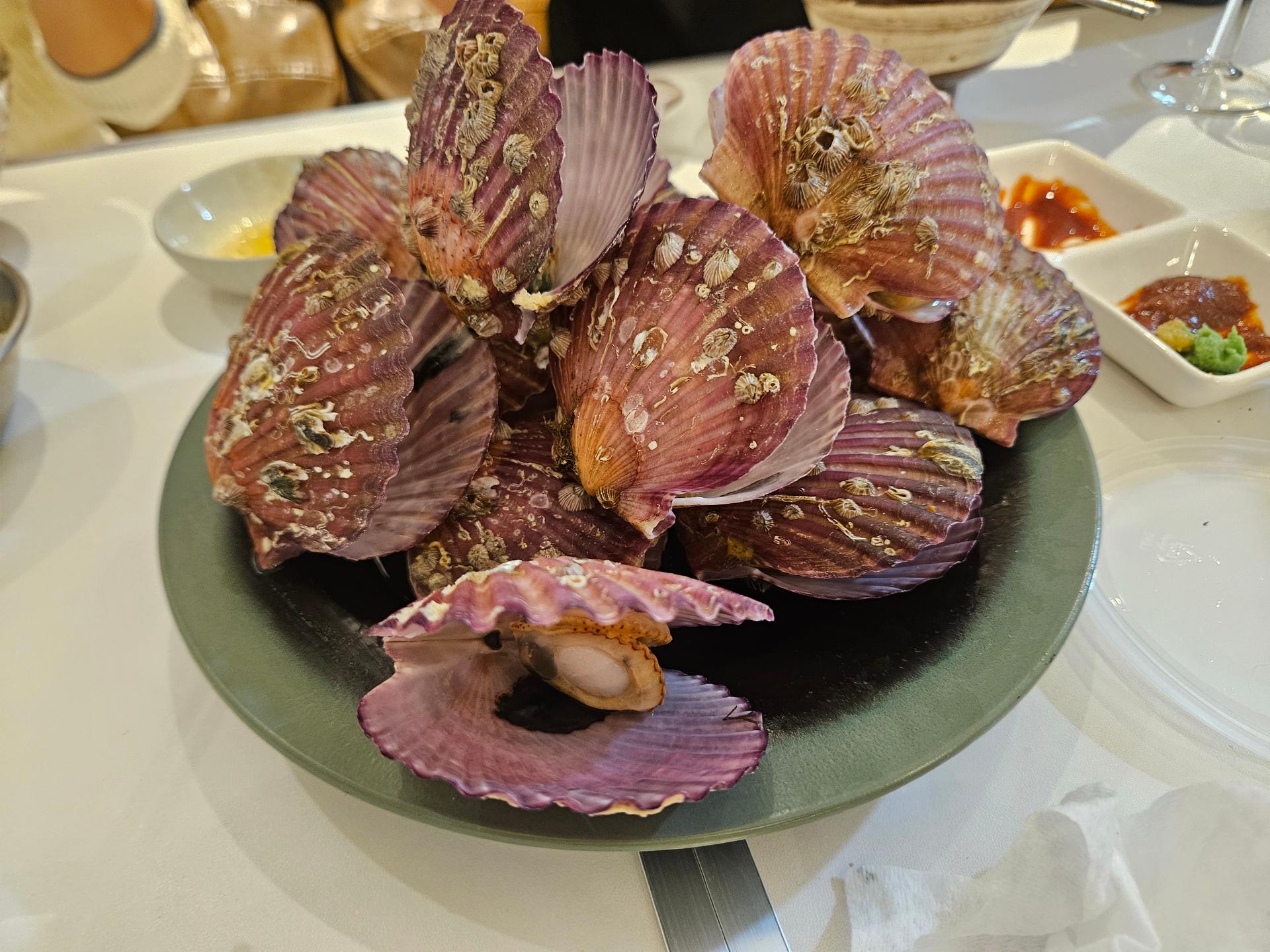 통영 홍가리비(6kg/12kg)