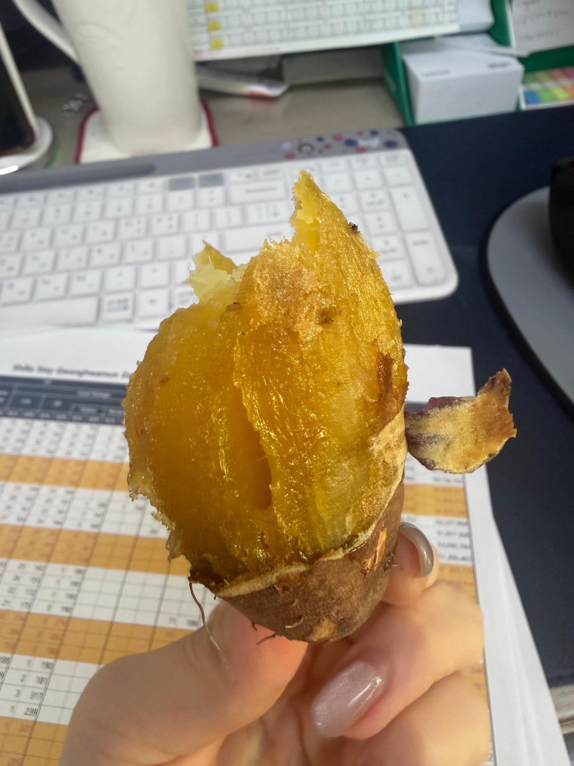 욕지도 고구마 (꿀고구마 5kg, 밤고구마 5kg, 호박고구마 5kg) 