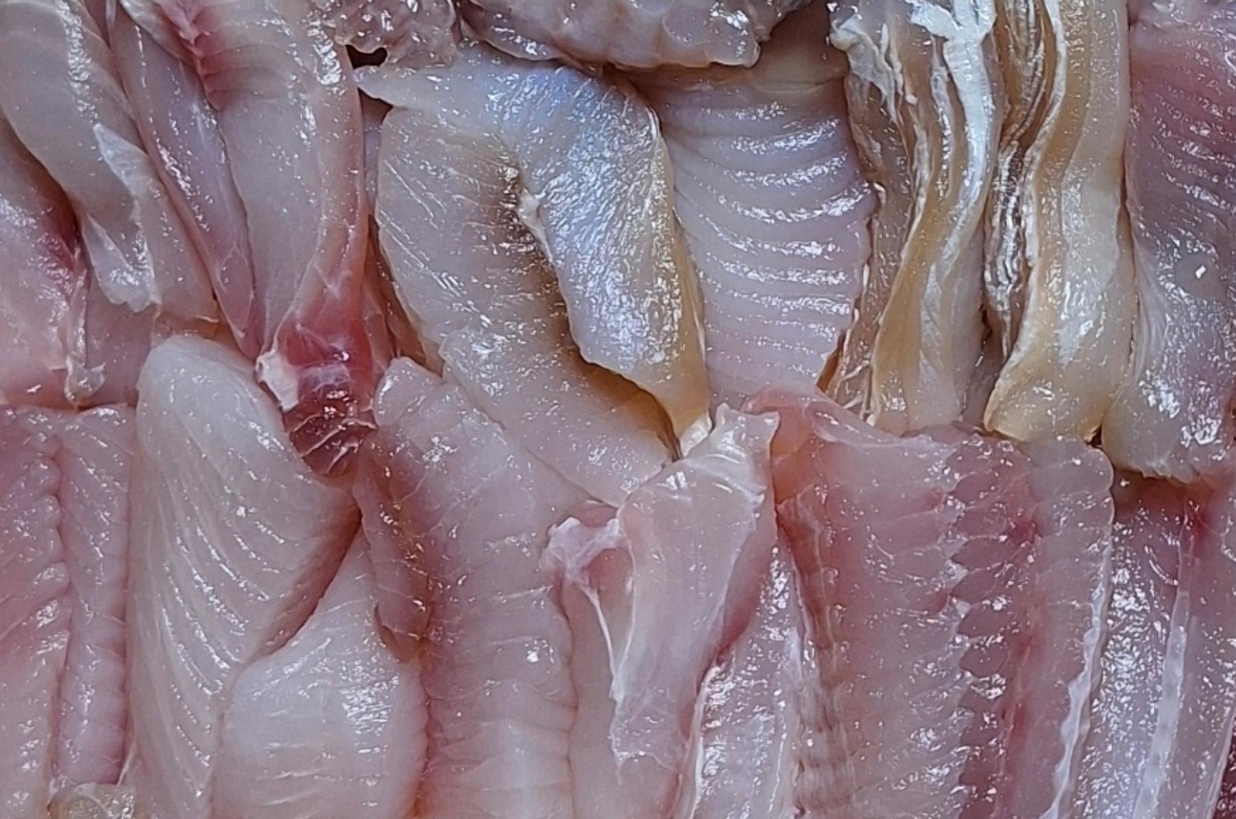 홍어 600g + 홍어애 국산홍어 목포홍어 팔도홍어