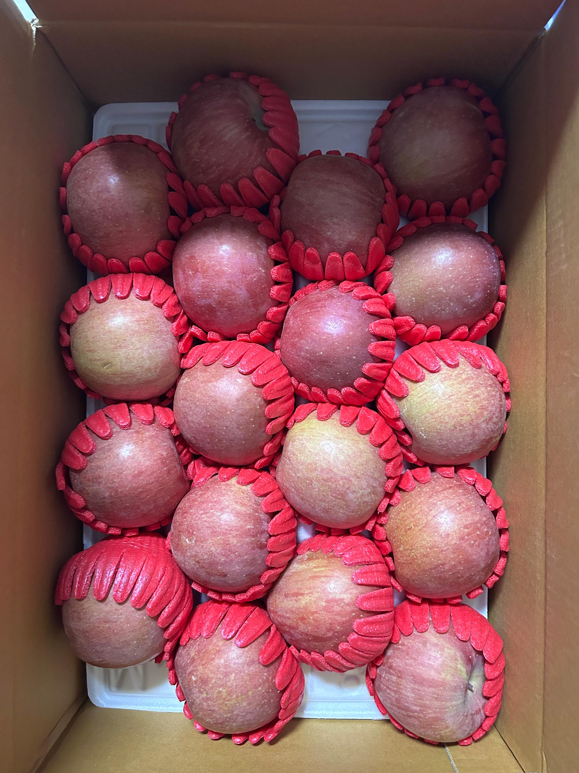 무주 반딧불 부사 4kg(18과)